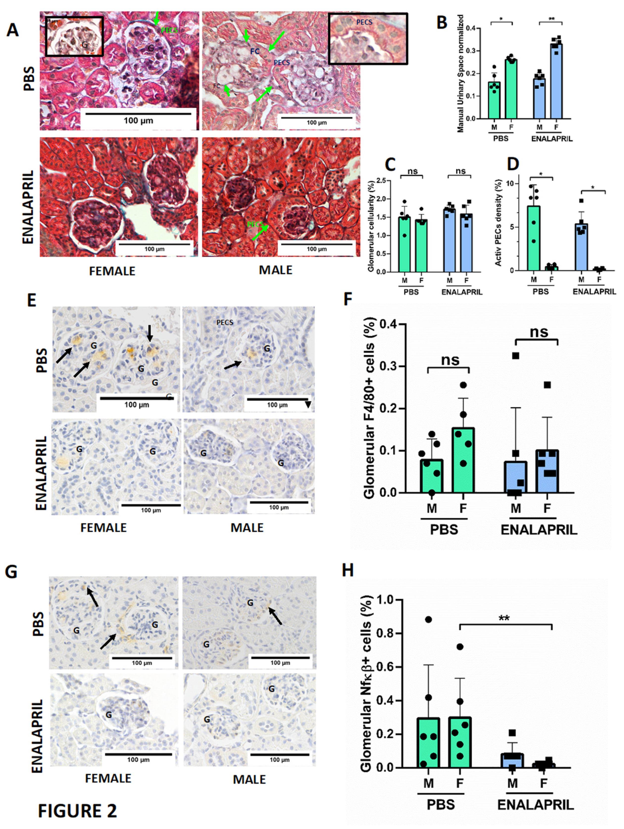 Preprints 76440 g002