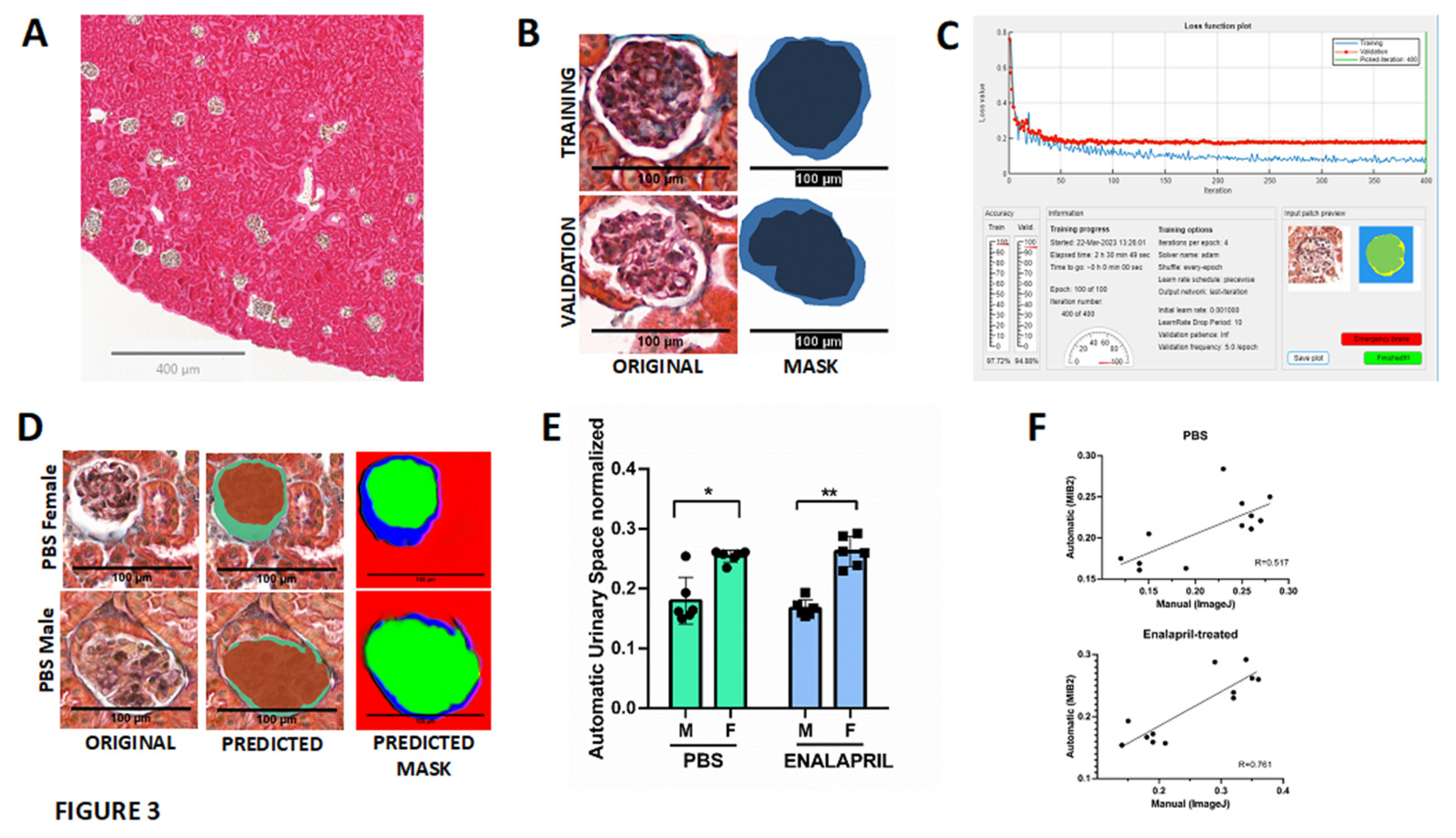 Preprints 76440 g003