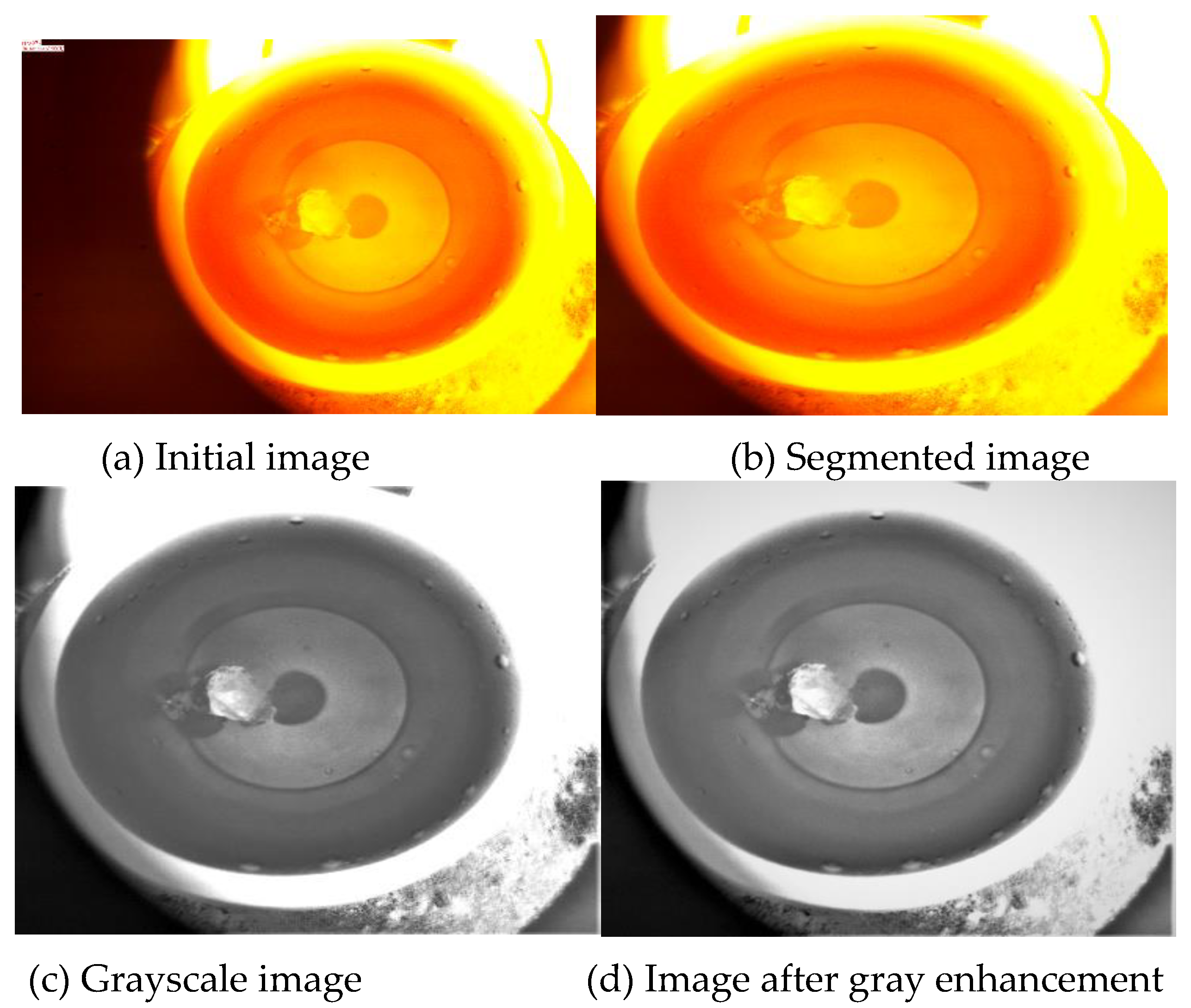 Preprints 82197 g004