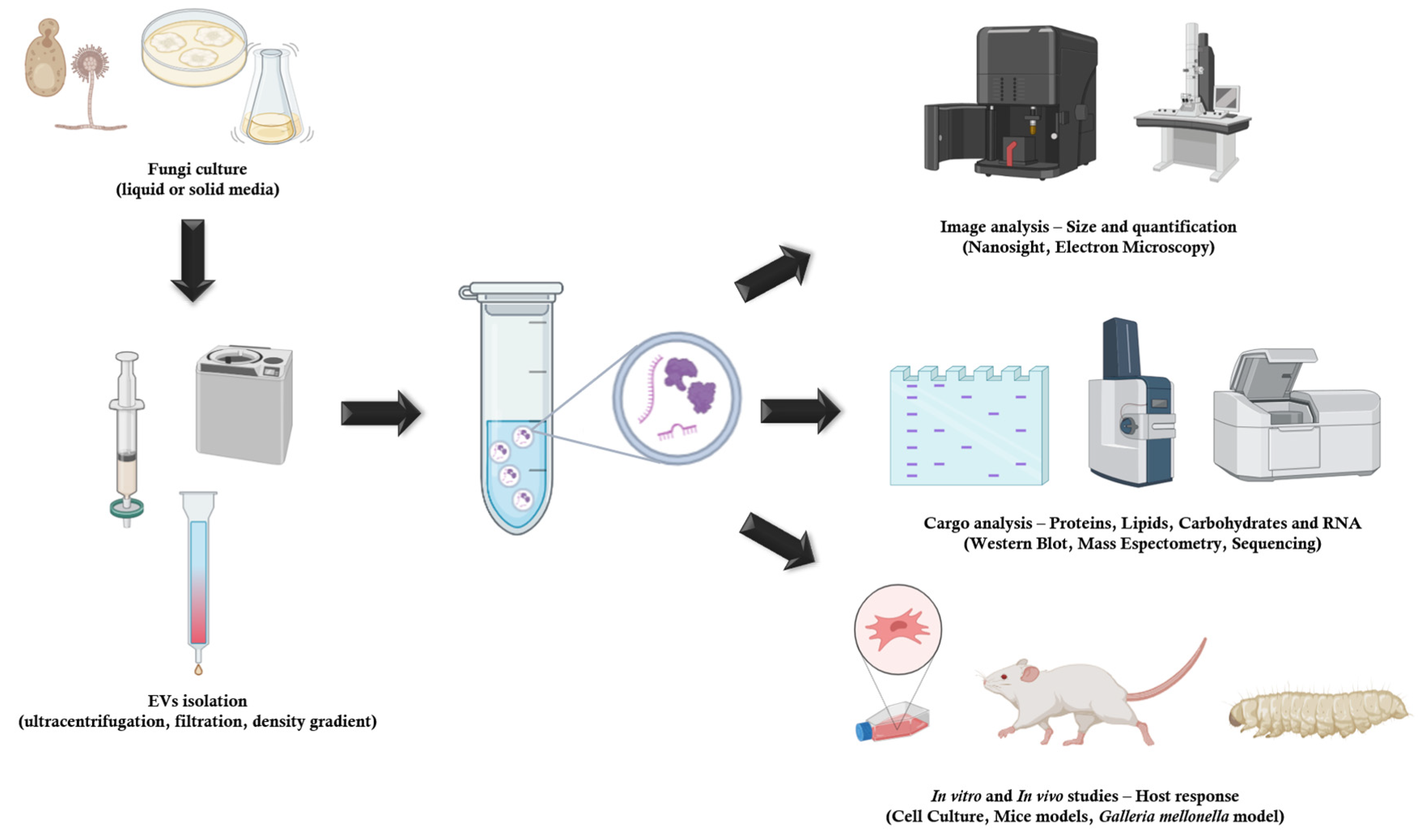 Preprints 80105 g002