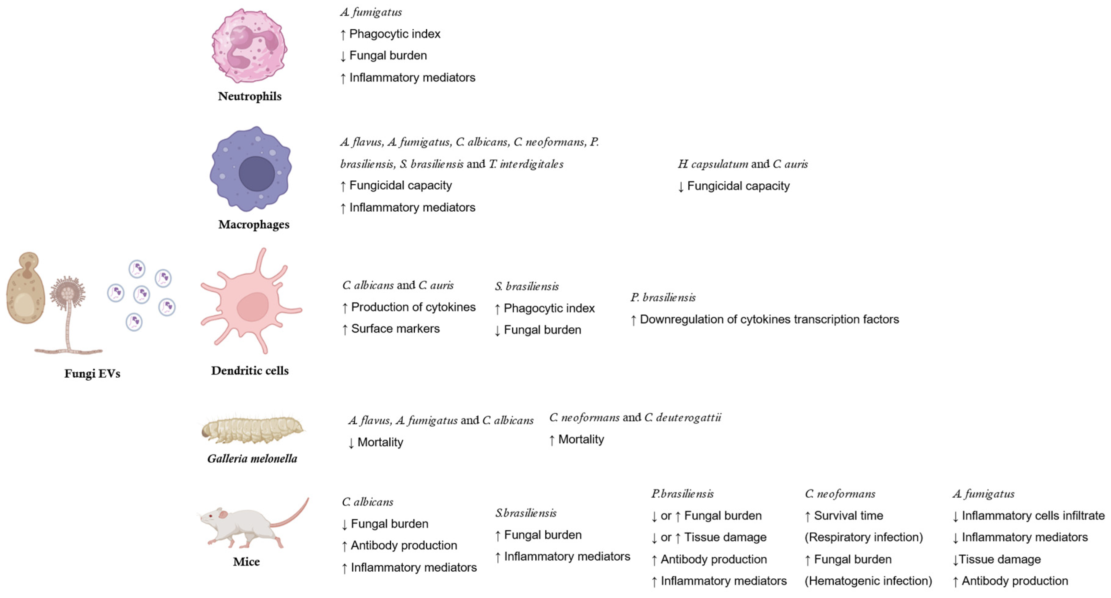 Preprints 80105 g003