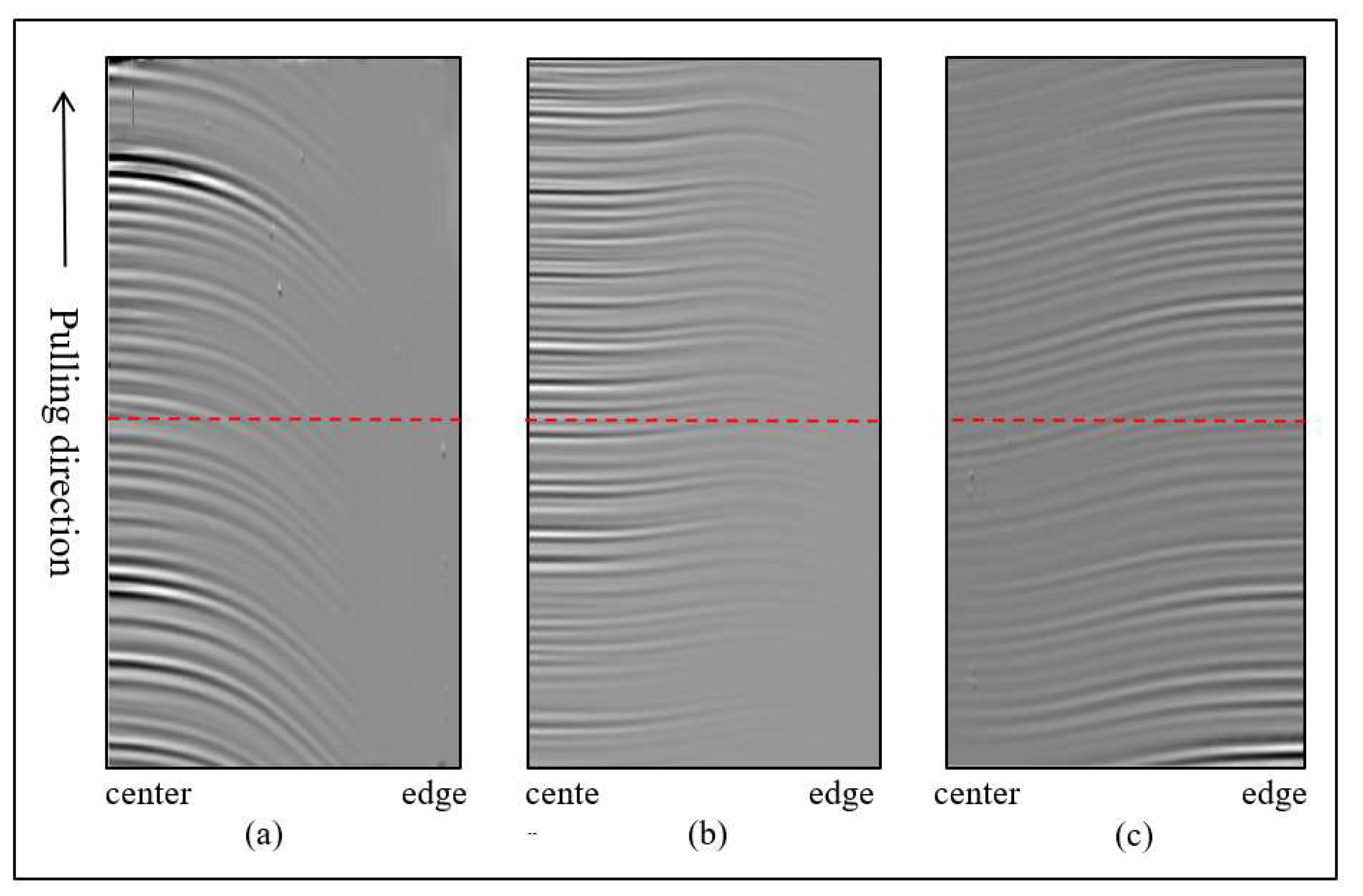 Preprints 81096 g008