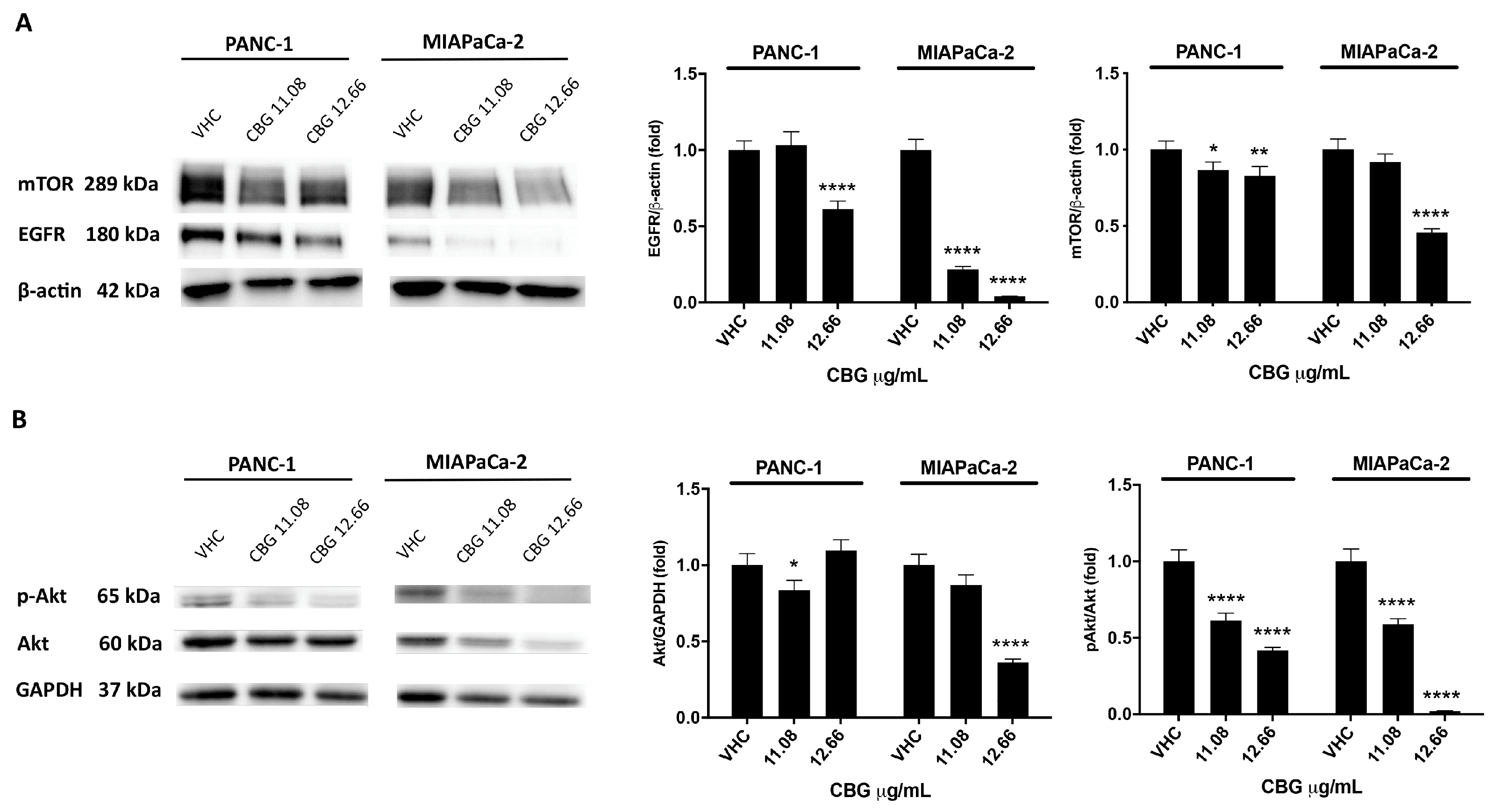 Preprints 96626 g002