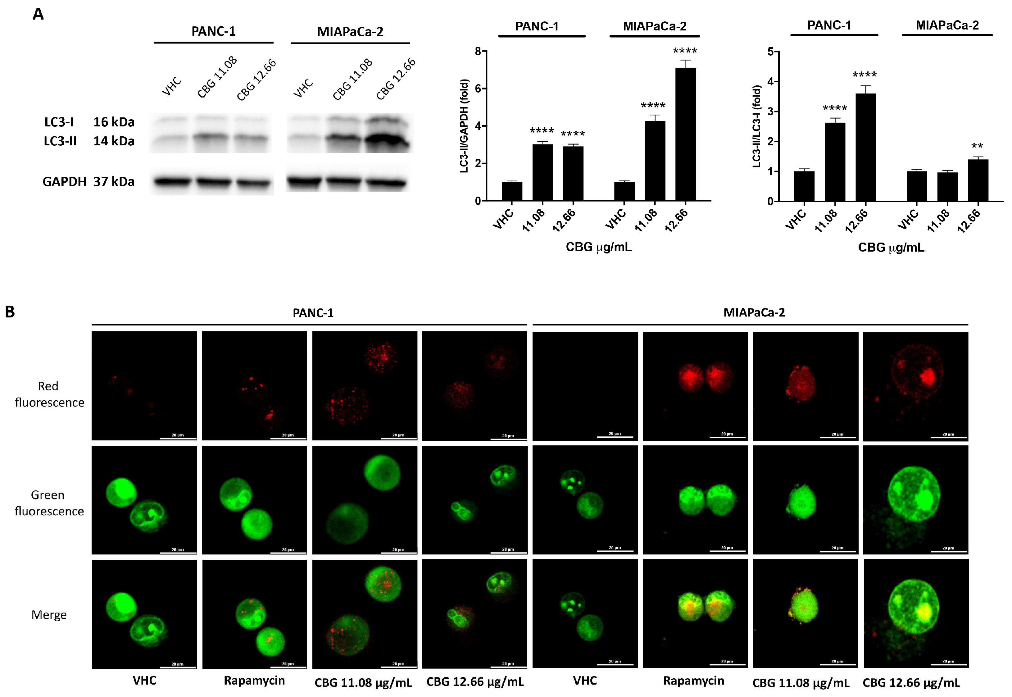 Preprints 96626 g003