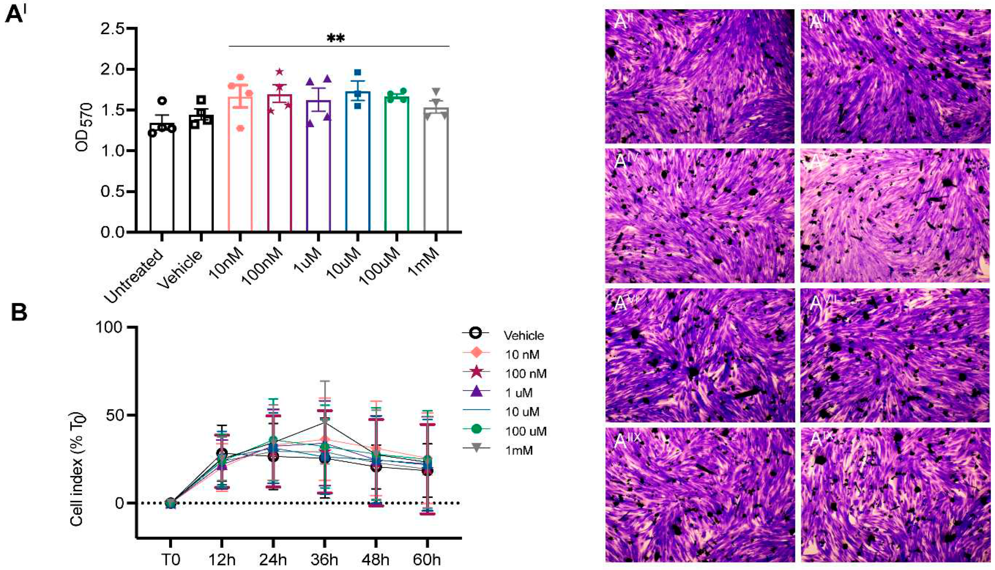 Preprints 84392 g001