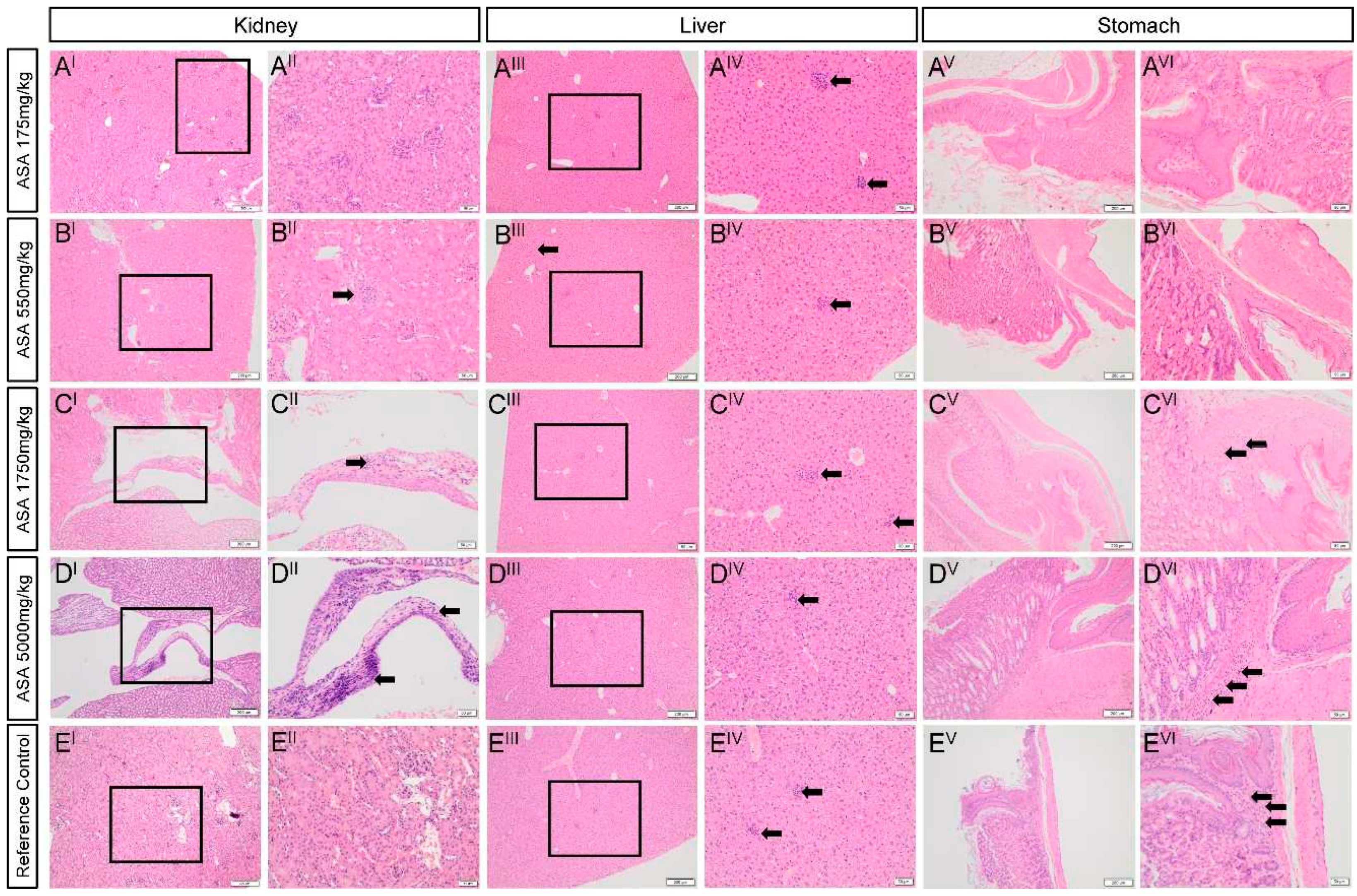 Preprints 84392 g003