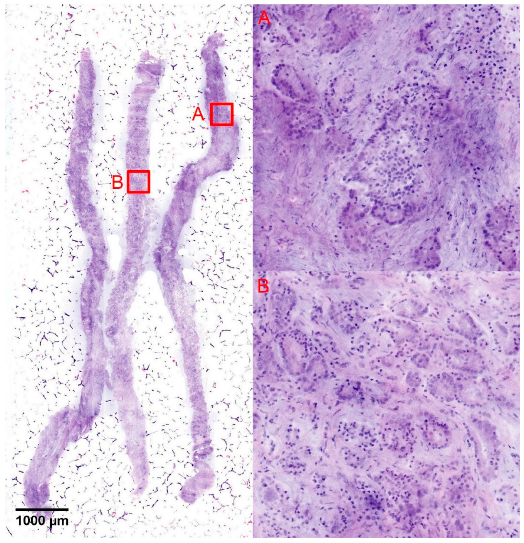 Preprints 97776 g002