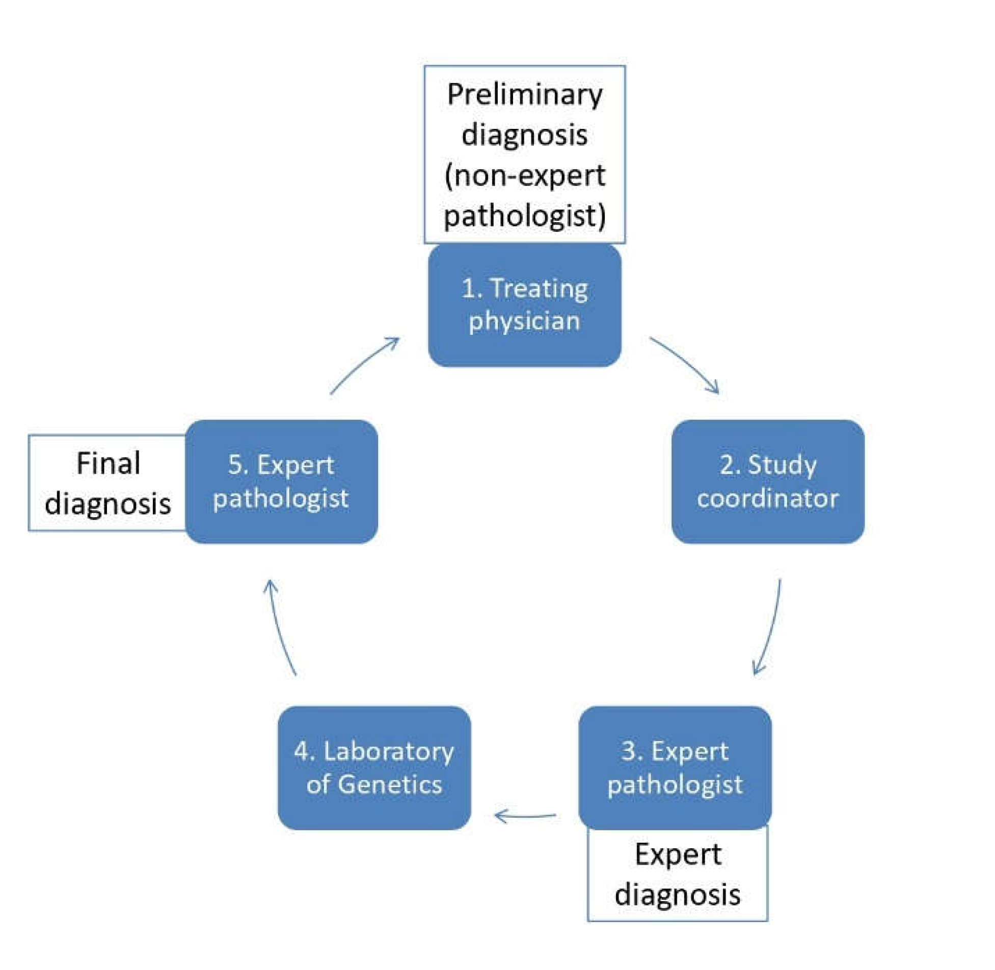 Preprints 105201 g001