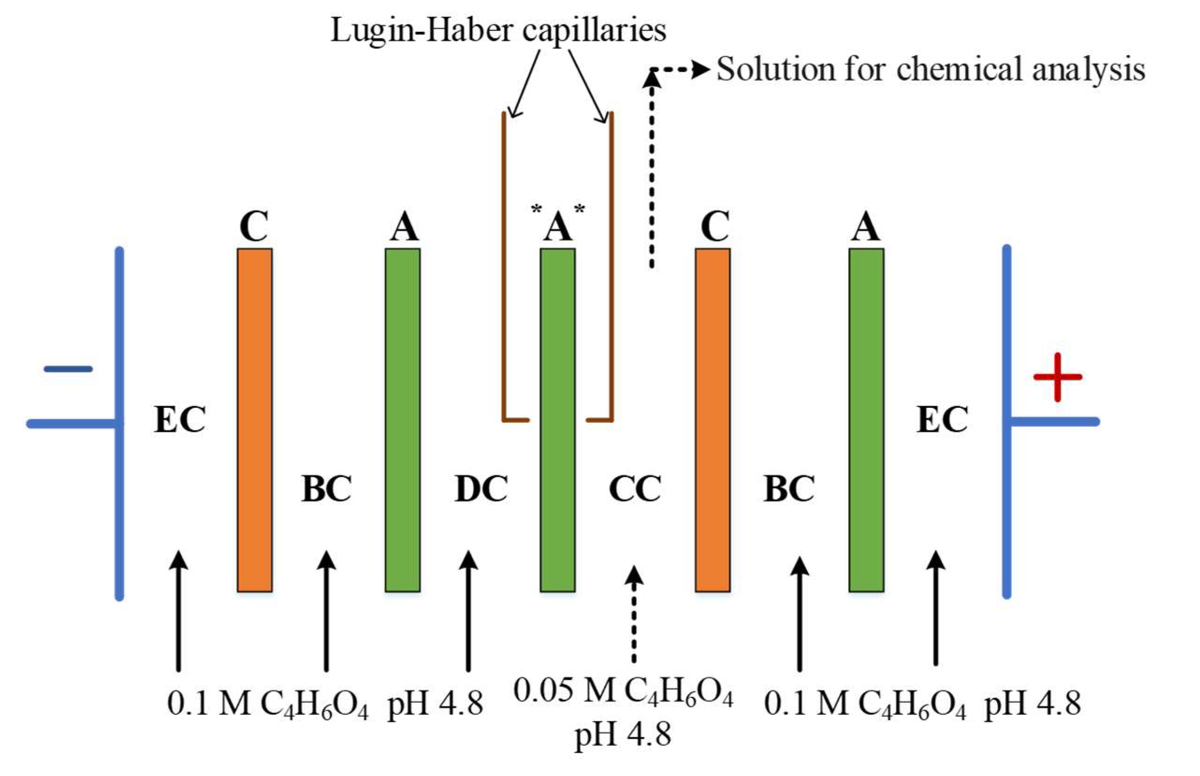 Preprints 141610 g003