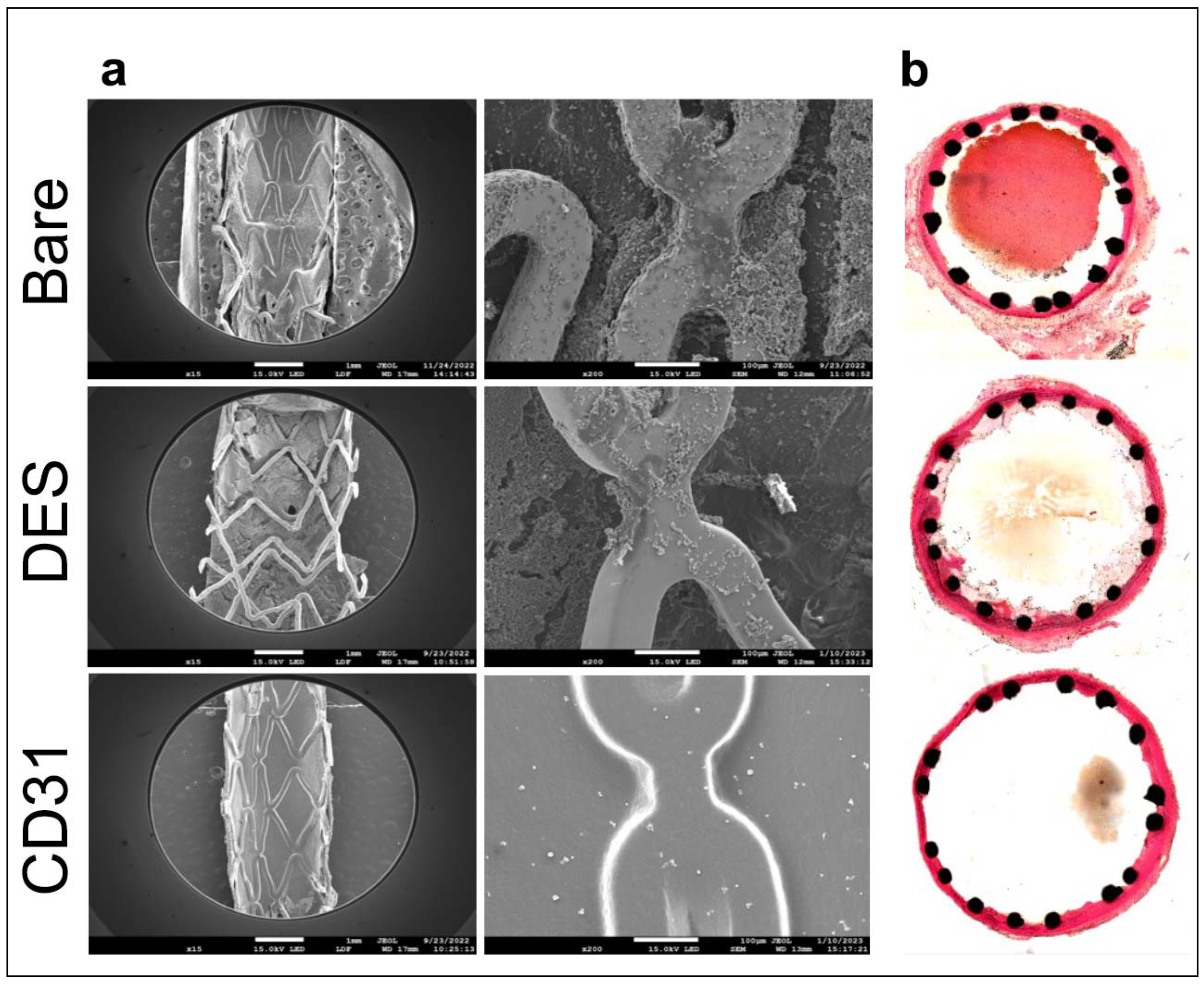 Preprints 86367 g004