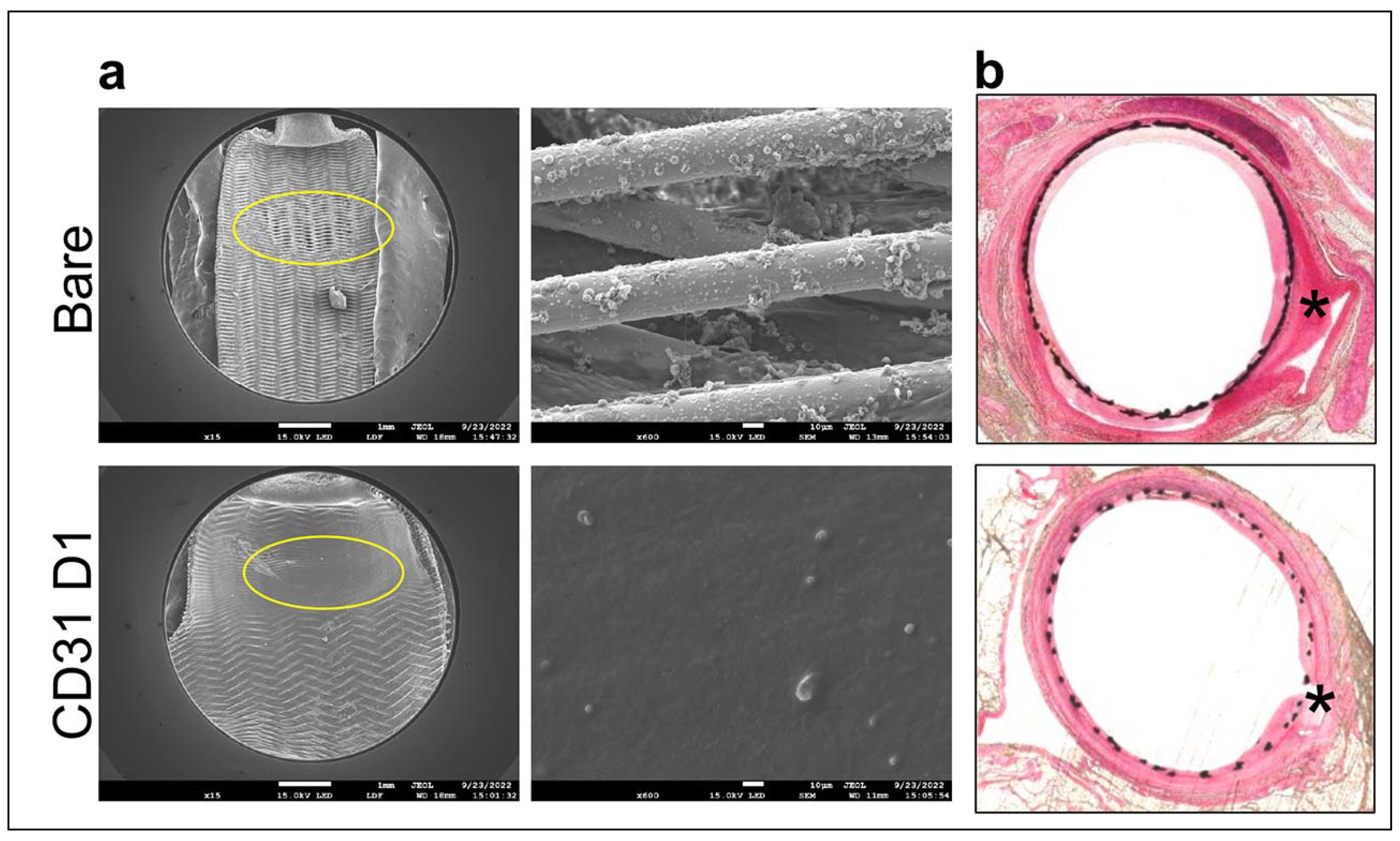 Preprints 86367 g005