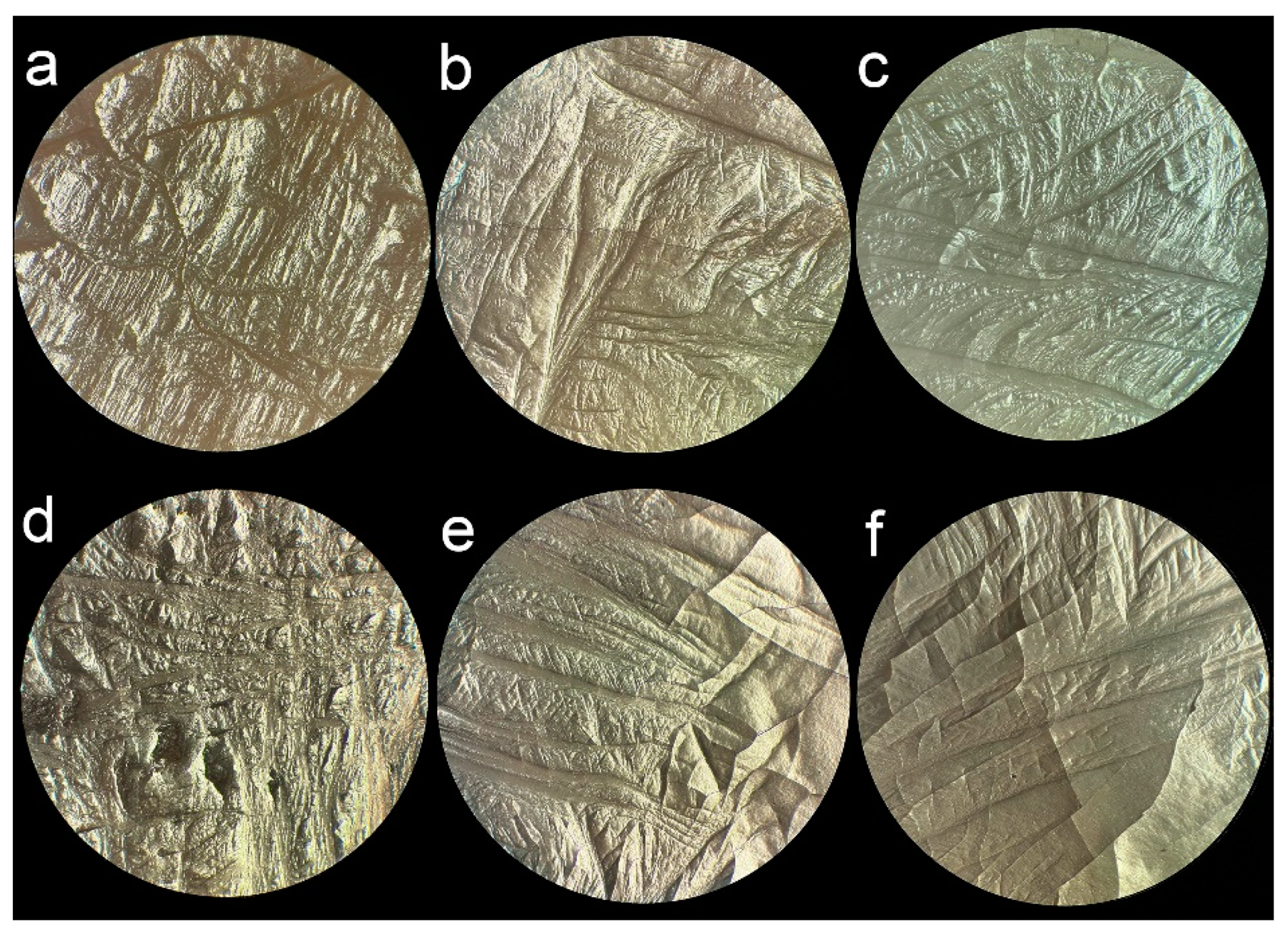 Preprints 111931 g005