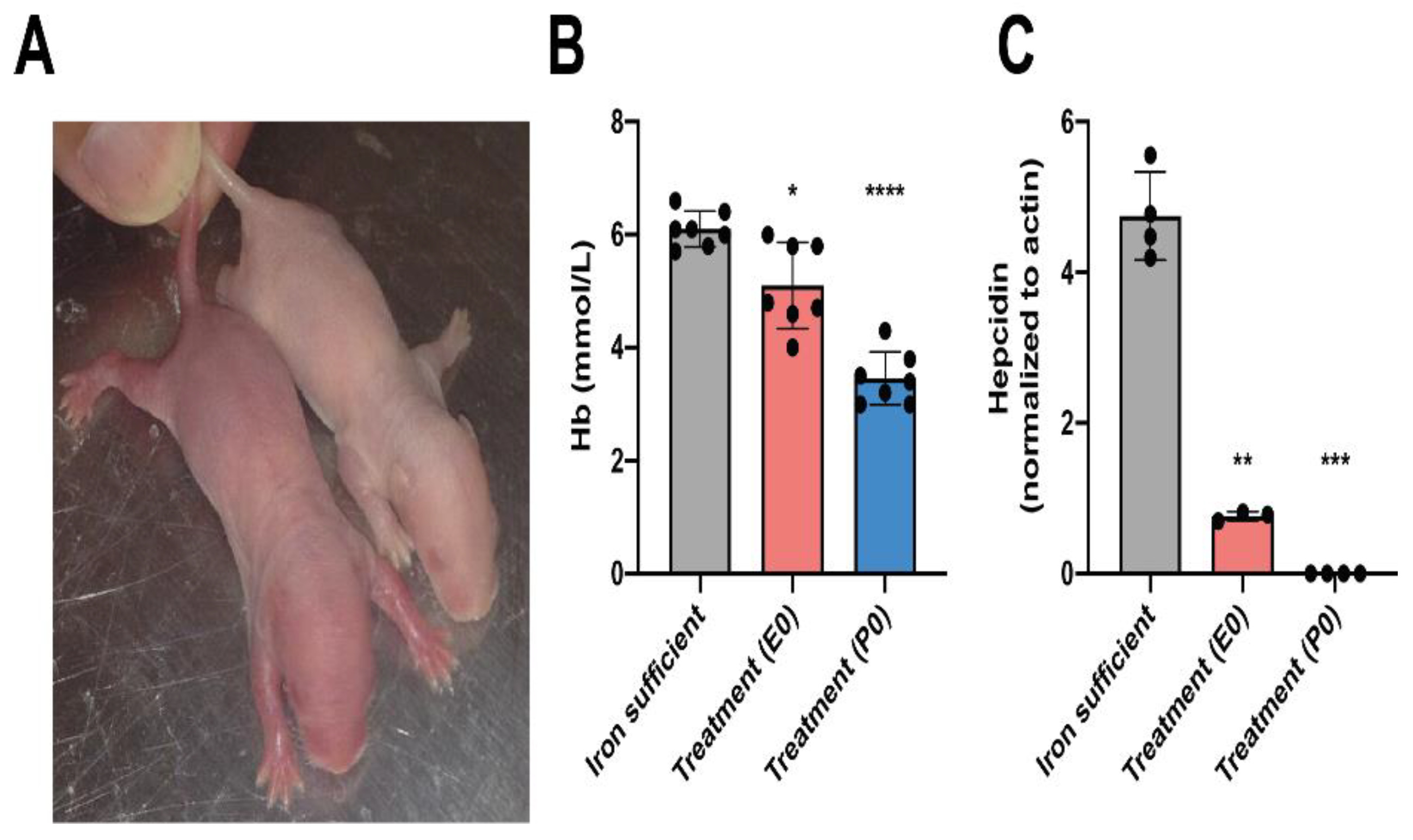 Preprints 114758 g002