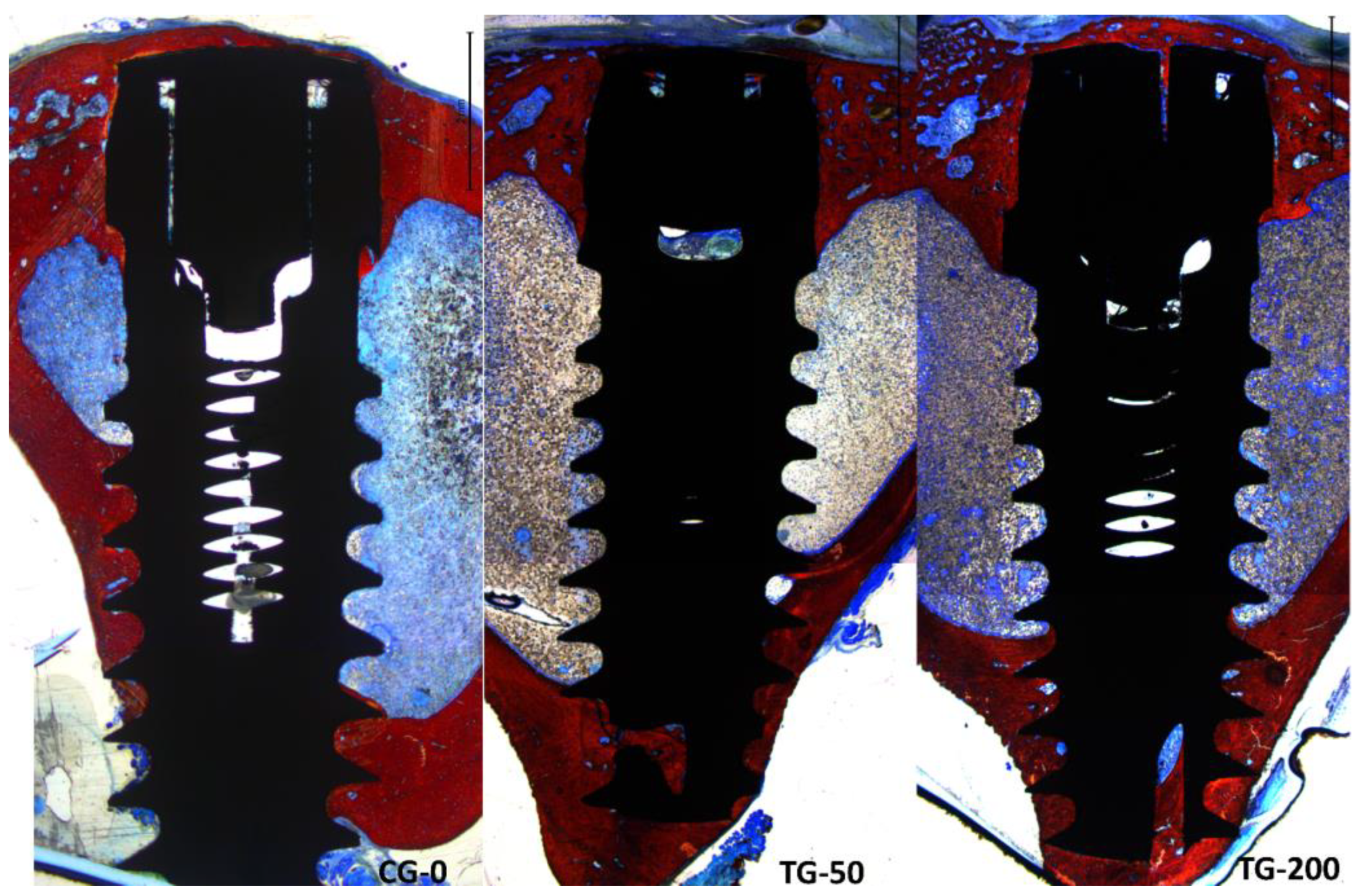 Preprints 111663 g005