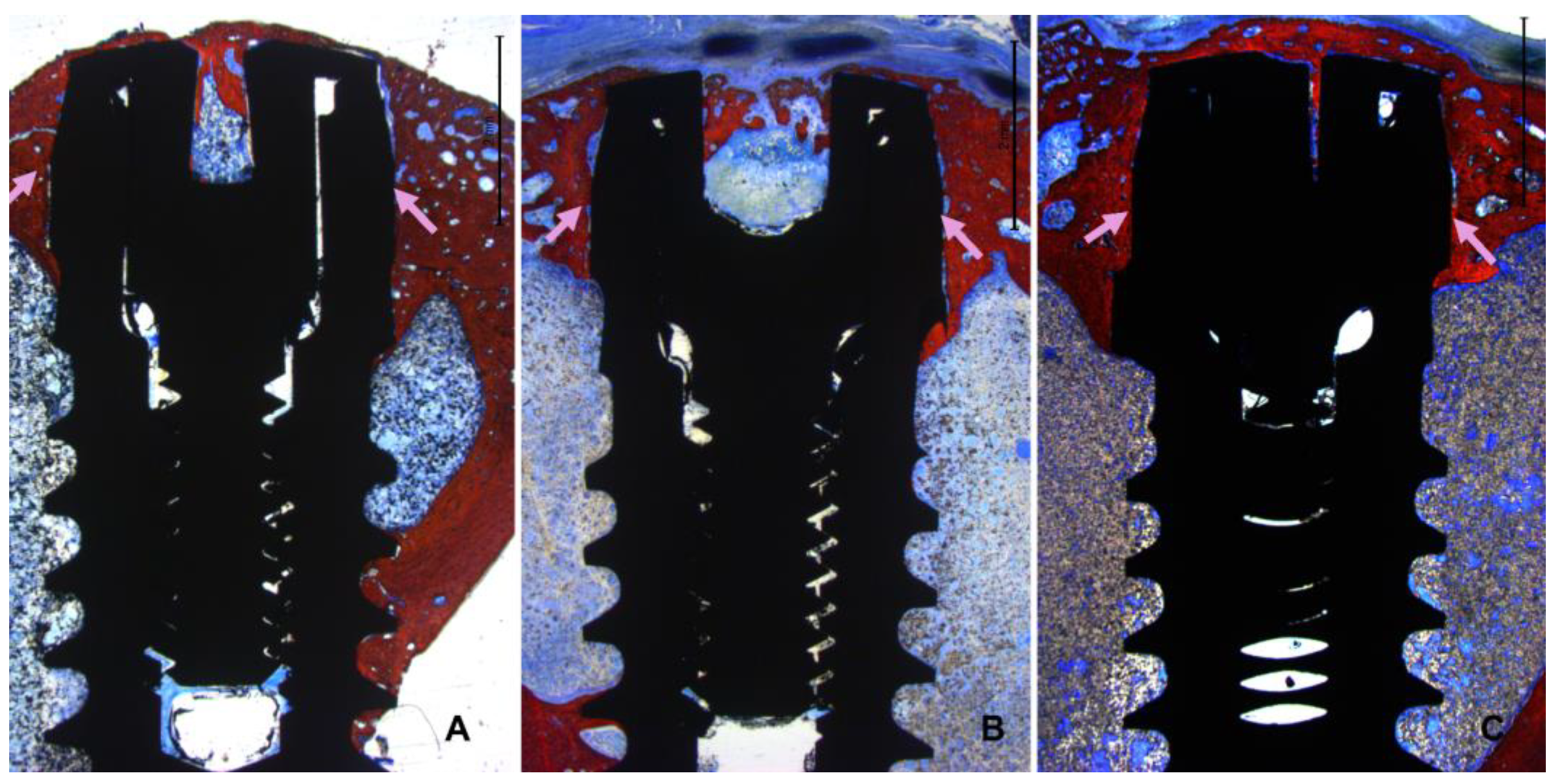 Preprints 111663 g006