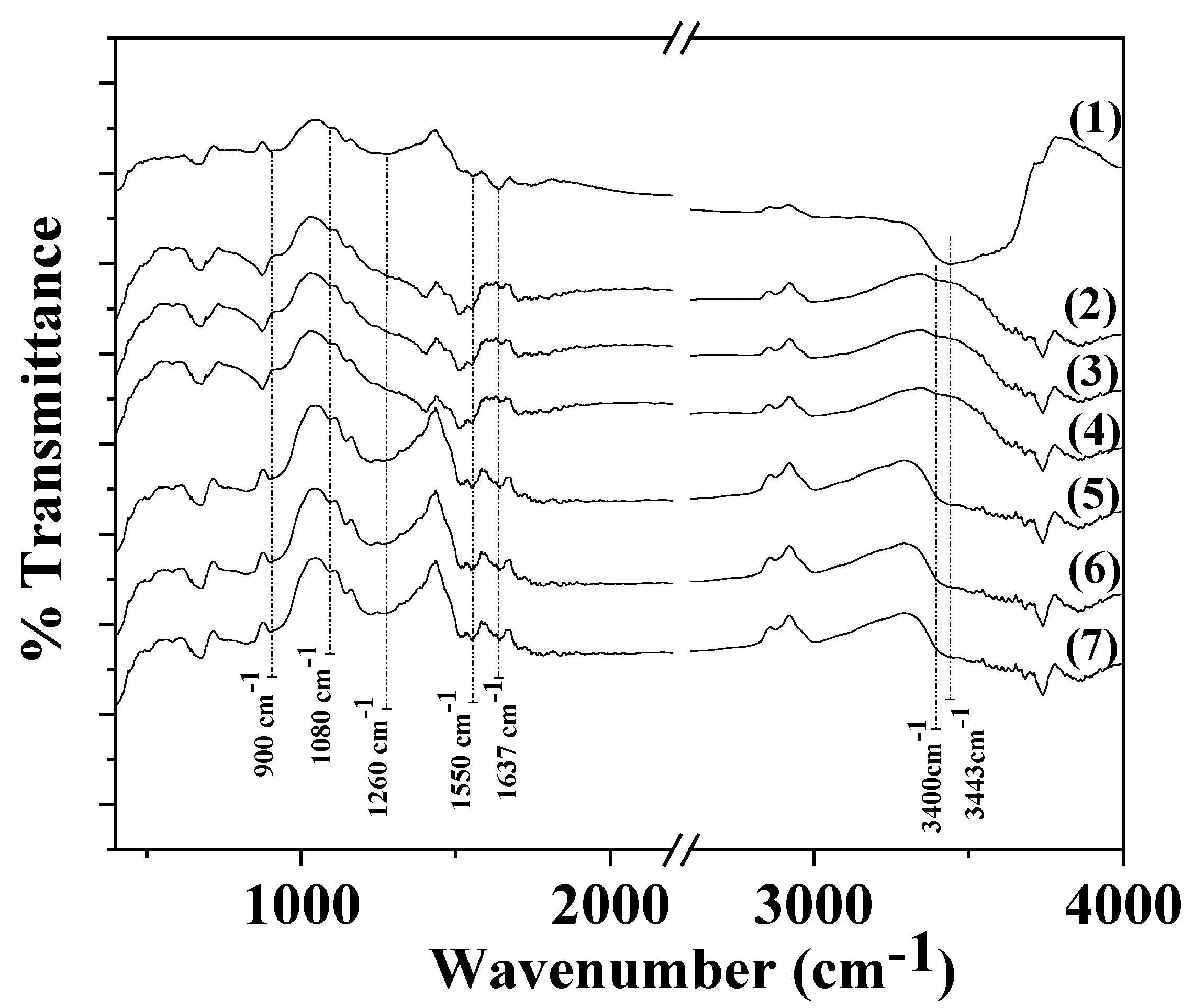 Preprints 80688 g003