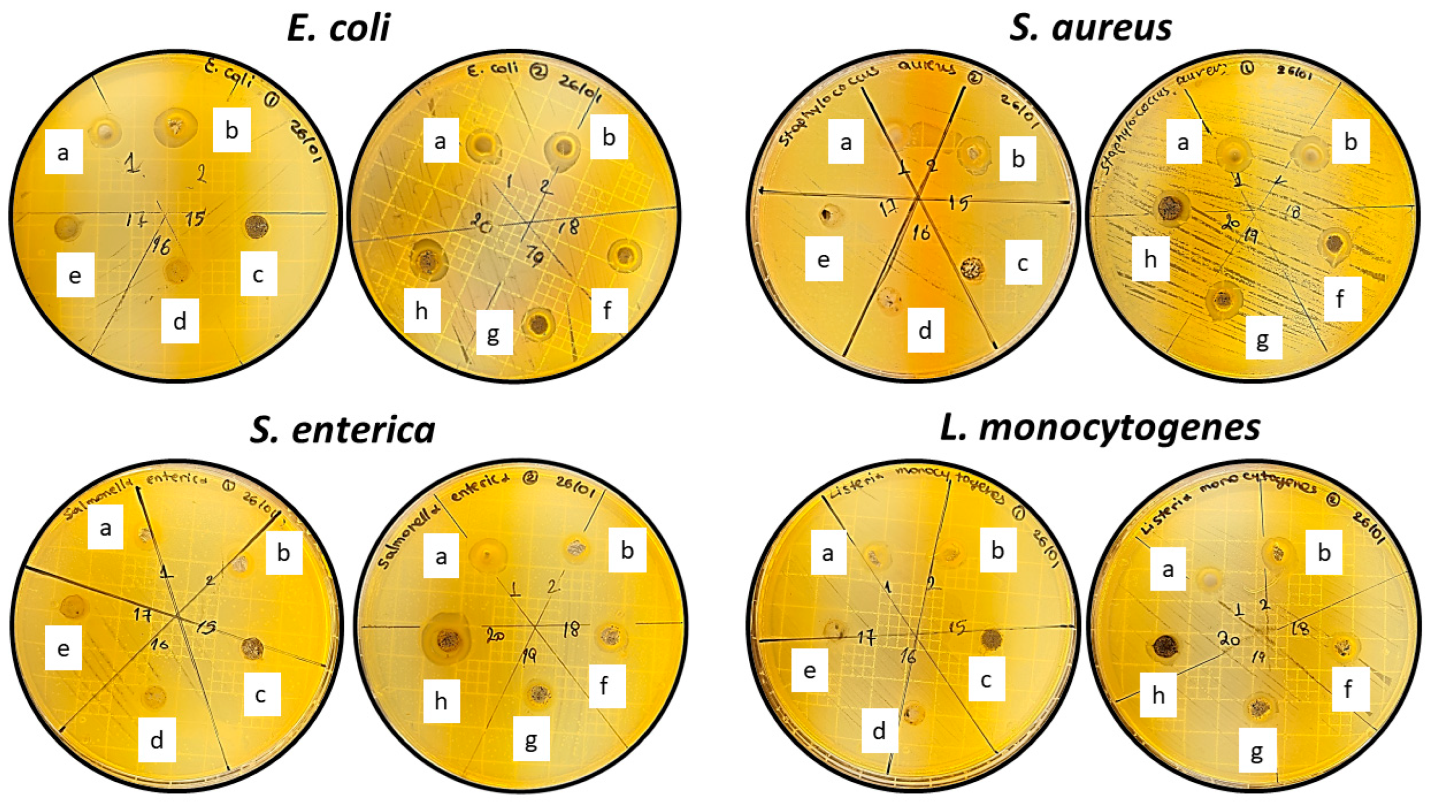 Preprints 80688 g006