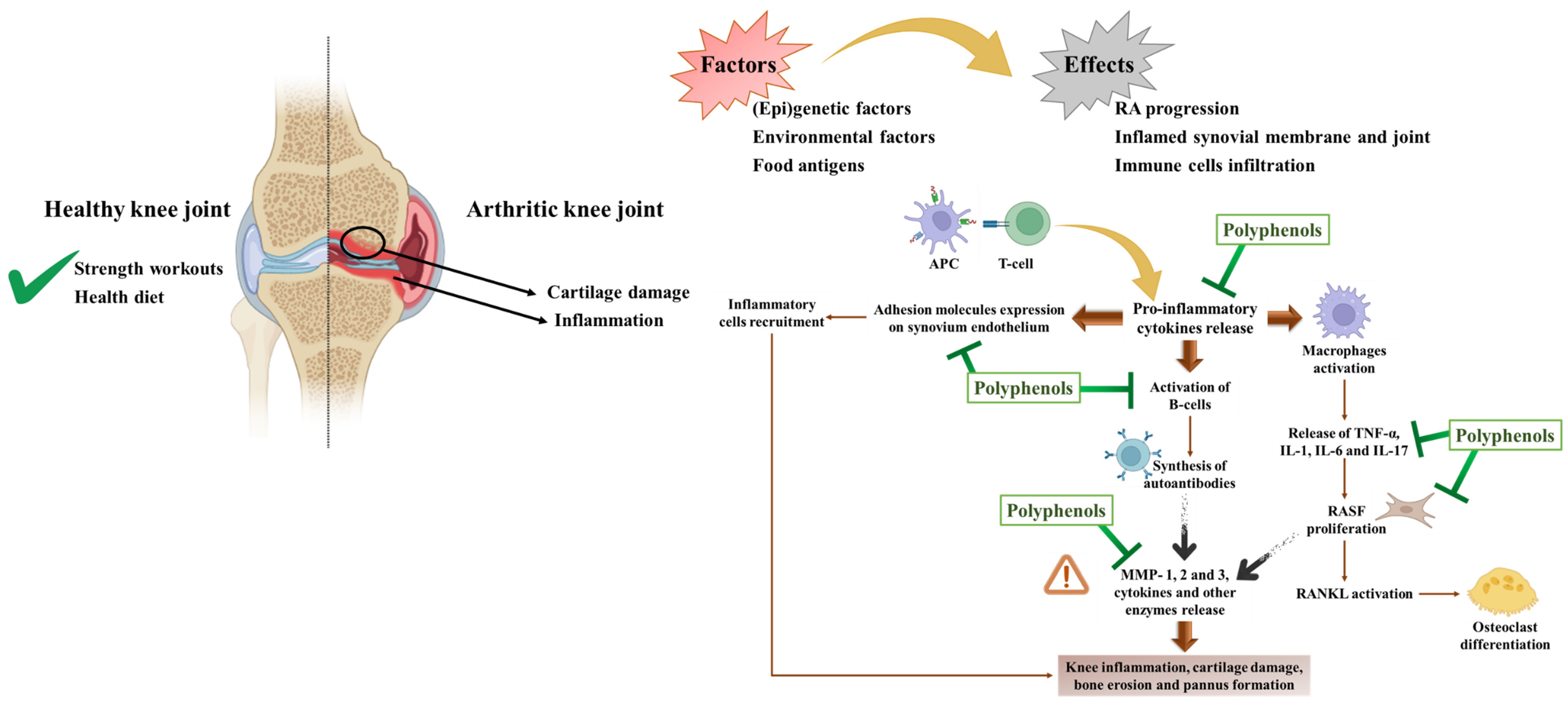 Preprints 103419 g002