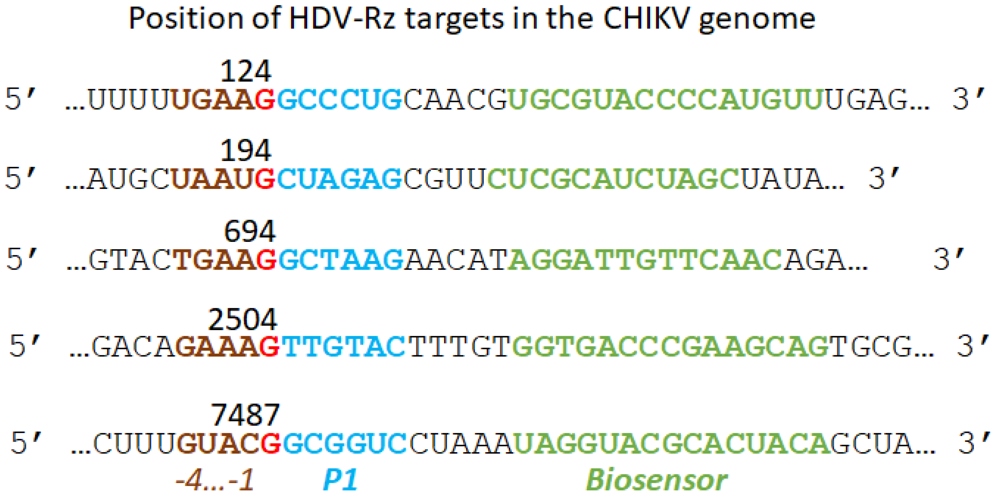 Preprints 100606 g001