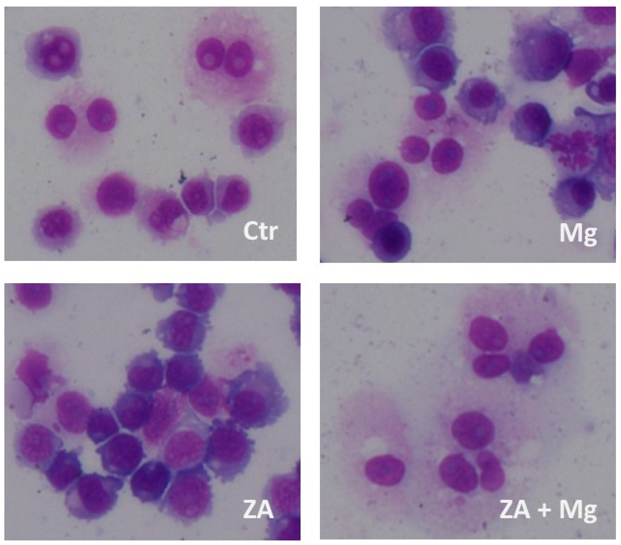 Preprints 82621 g006