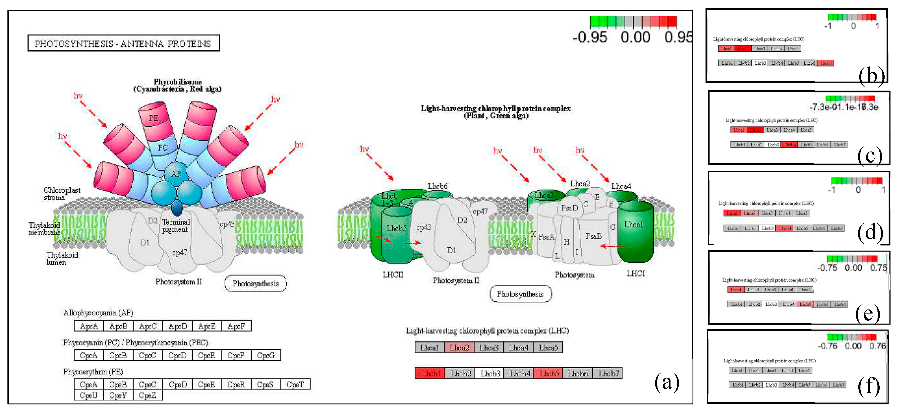 Preprints 85431 g005