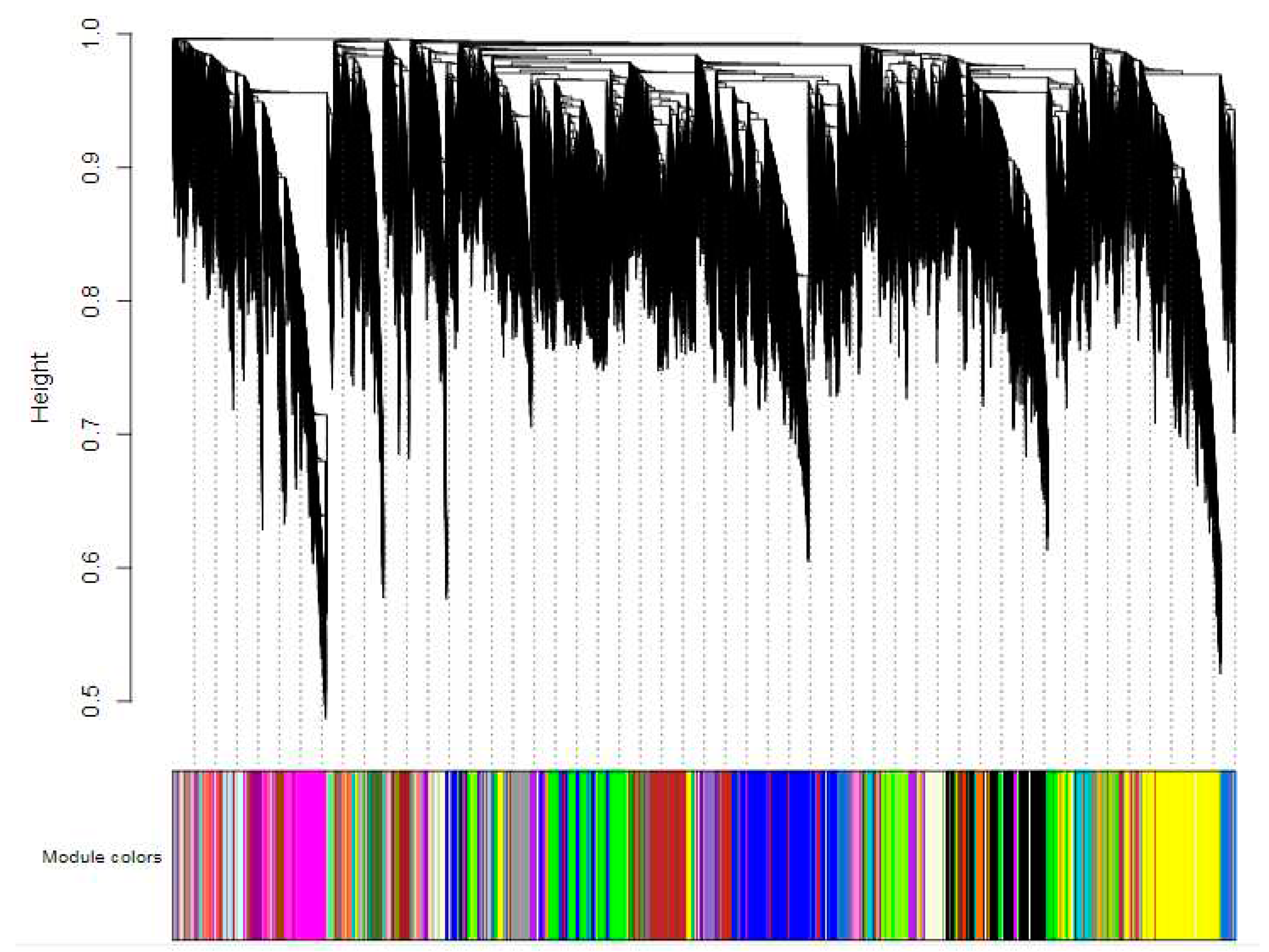 Preprints 85431 g006