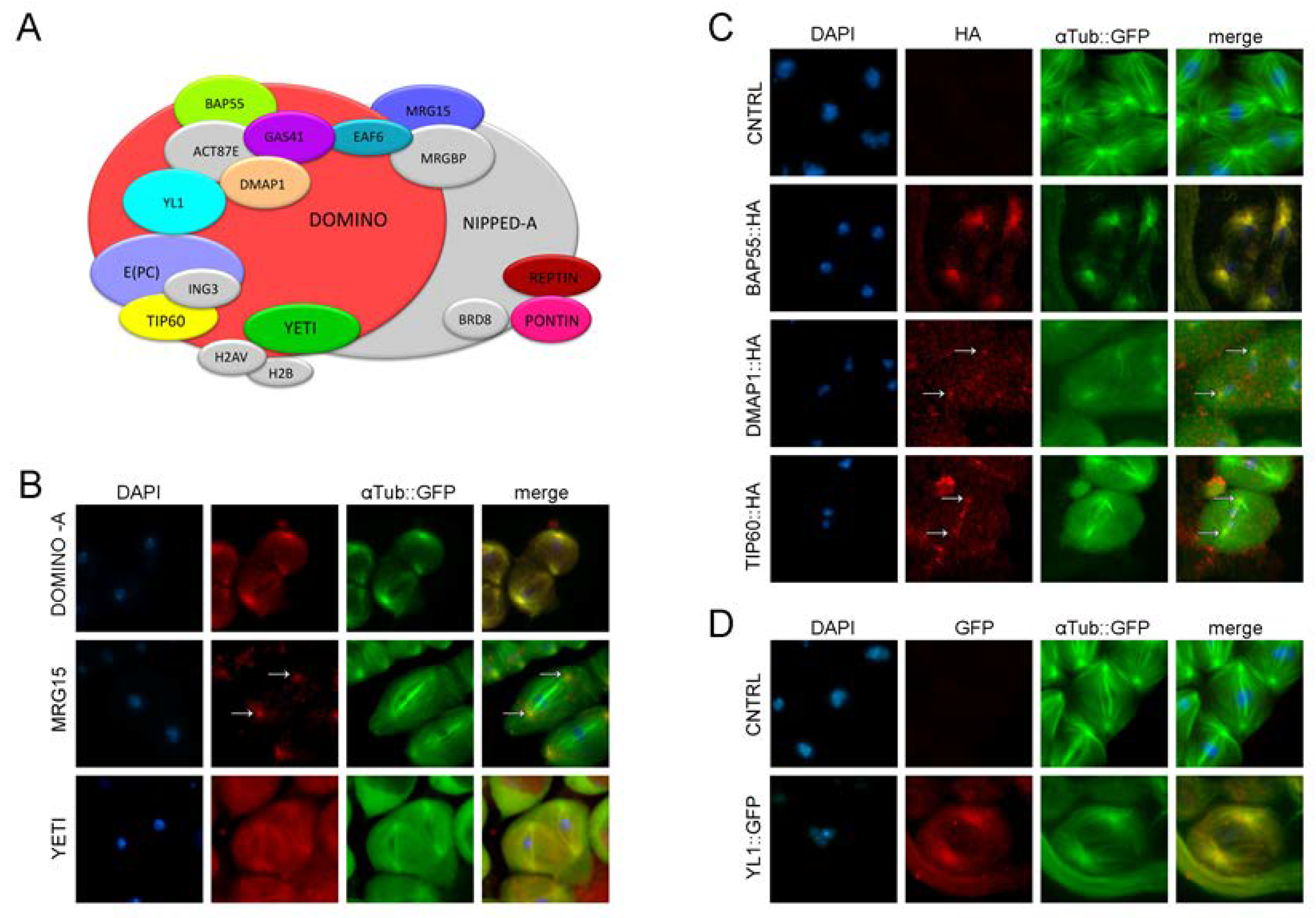 Preprints 70401 g002