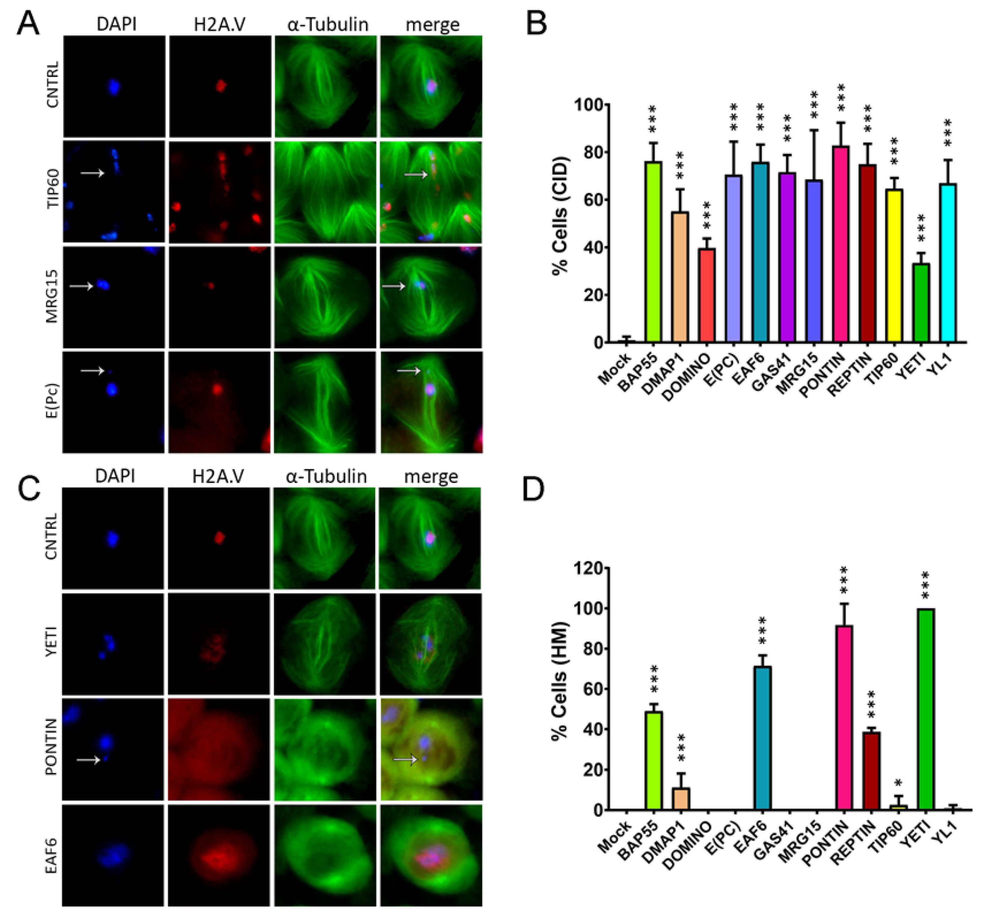 Preprints 70401 g003