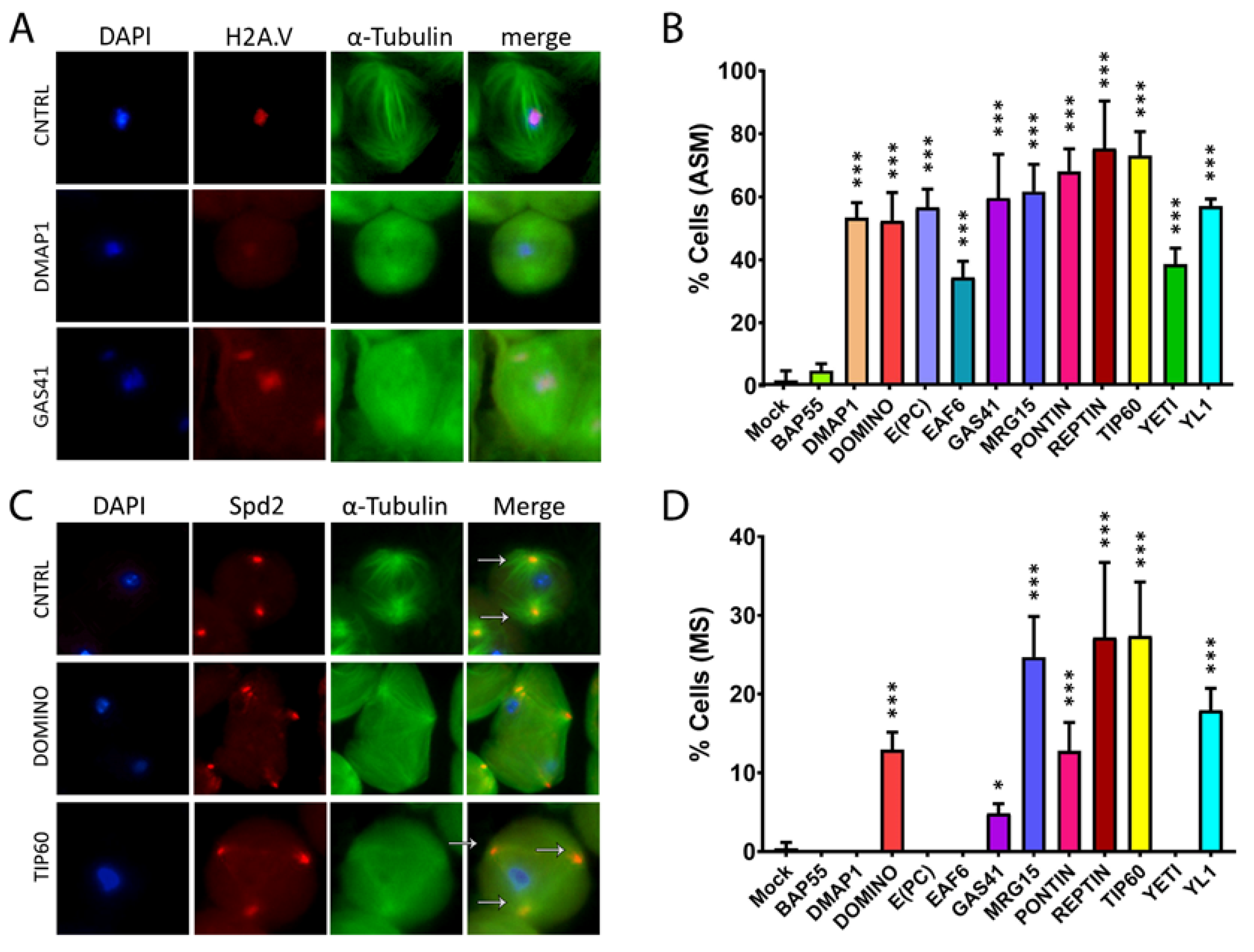 Preprints 70401 g004