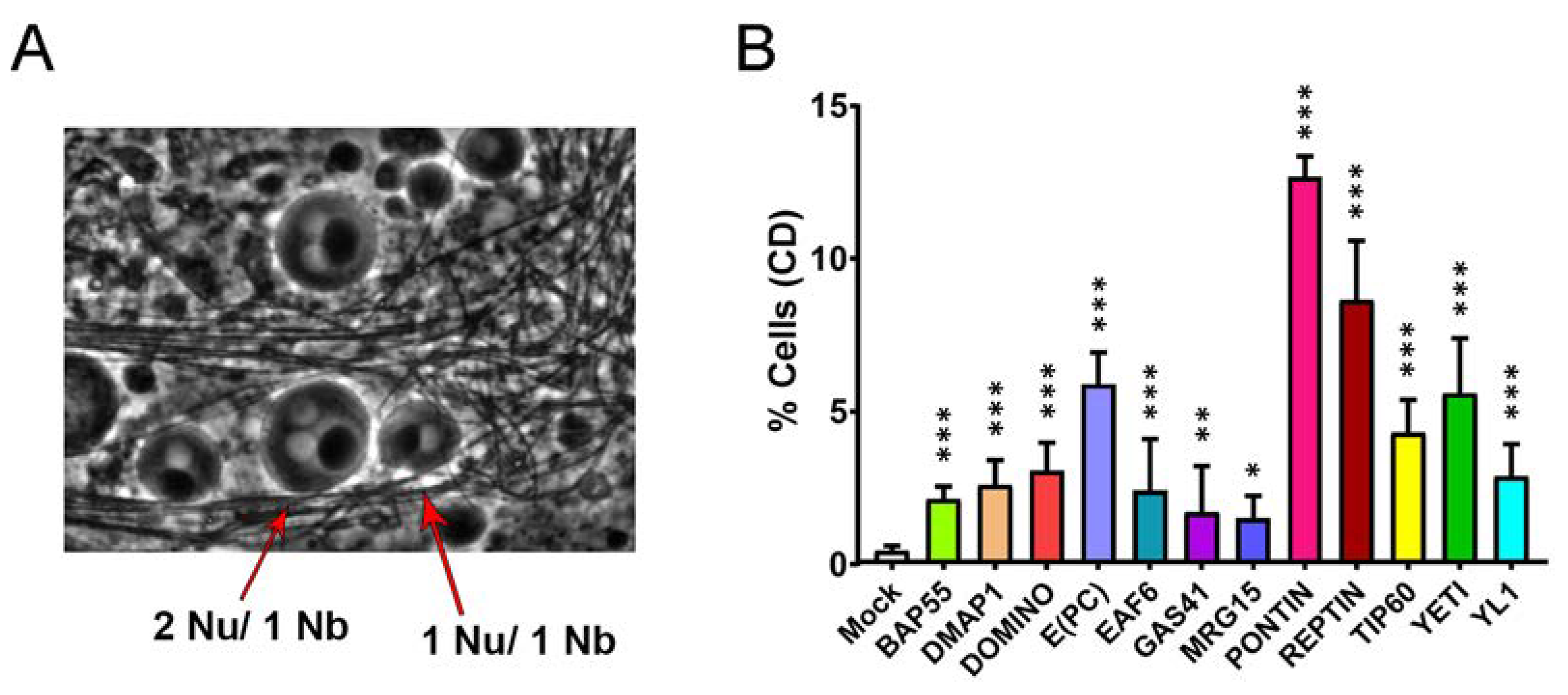 Preprints 70401 g005