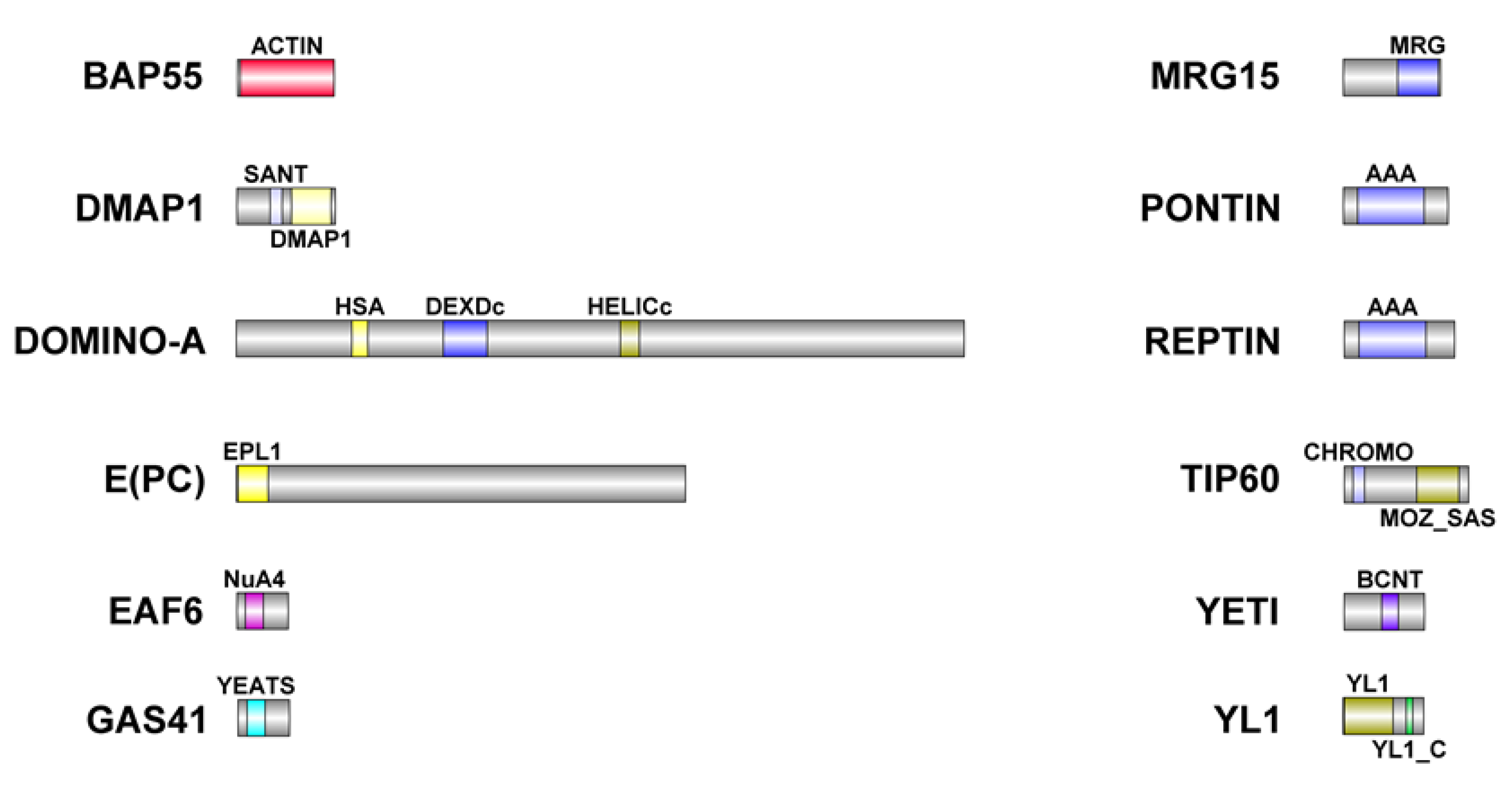 Preprints 70401 g006