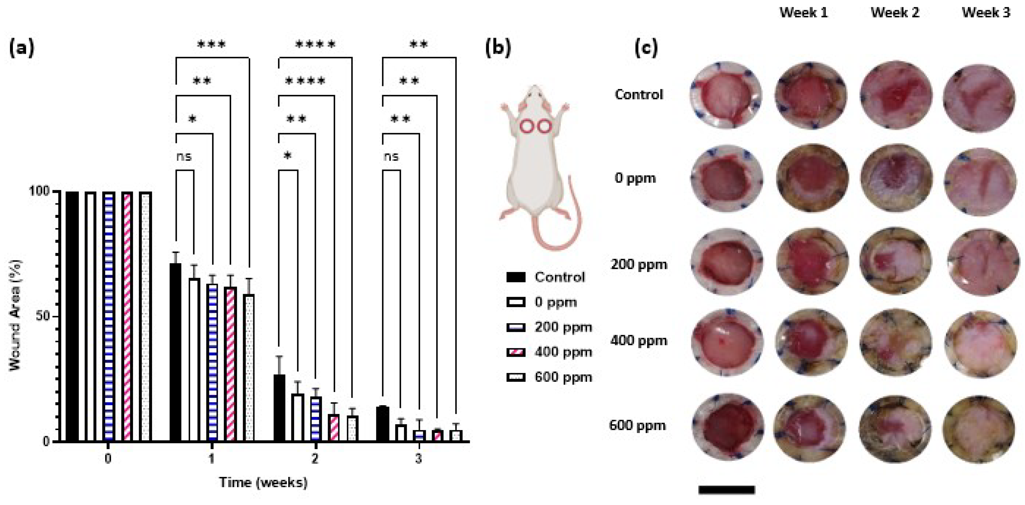 Preprints 75653 g004