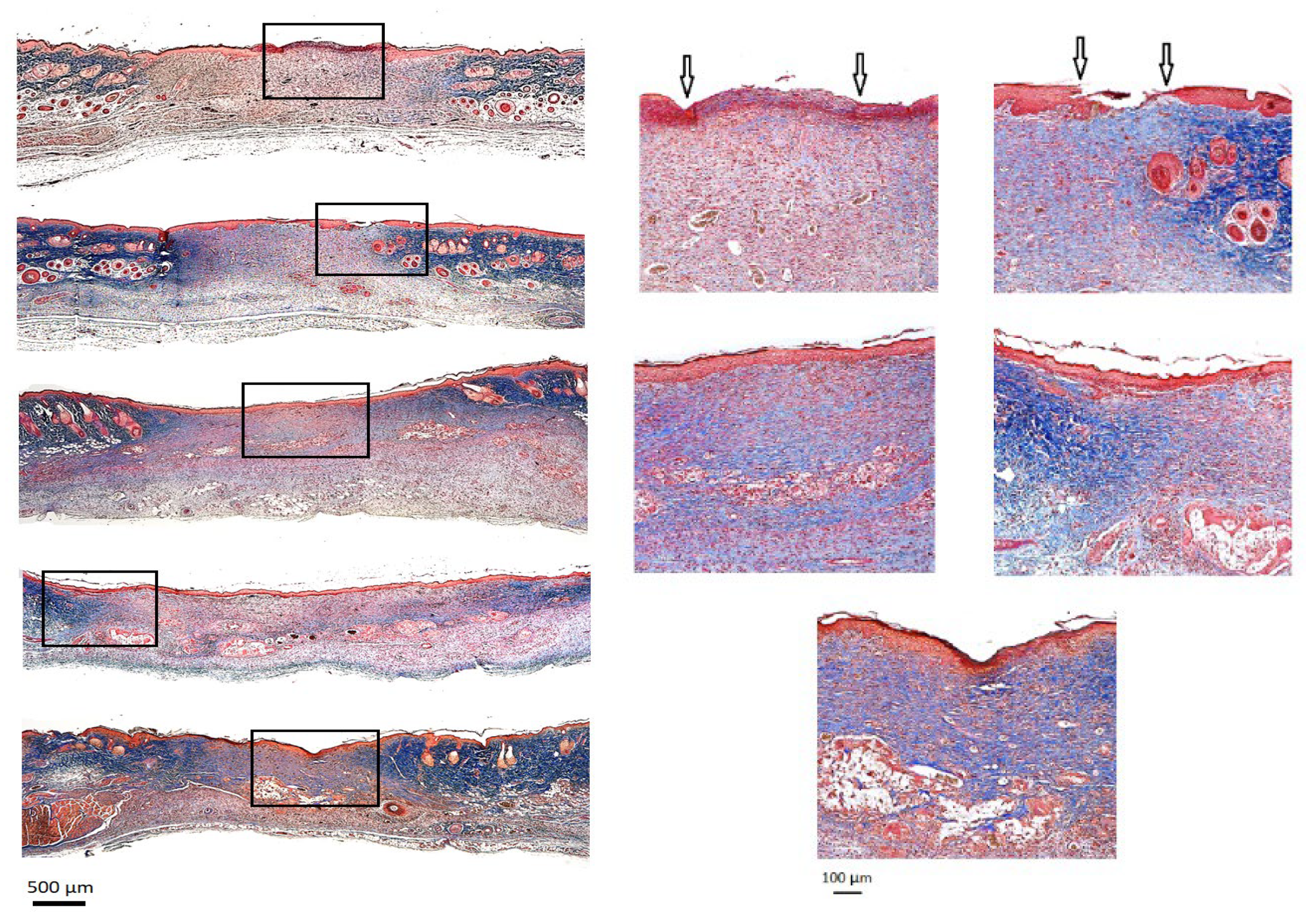 Preprints 75653 g005