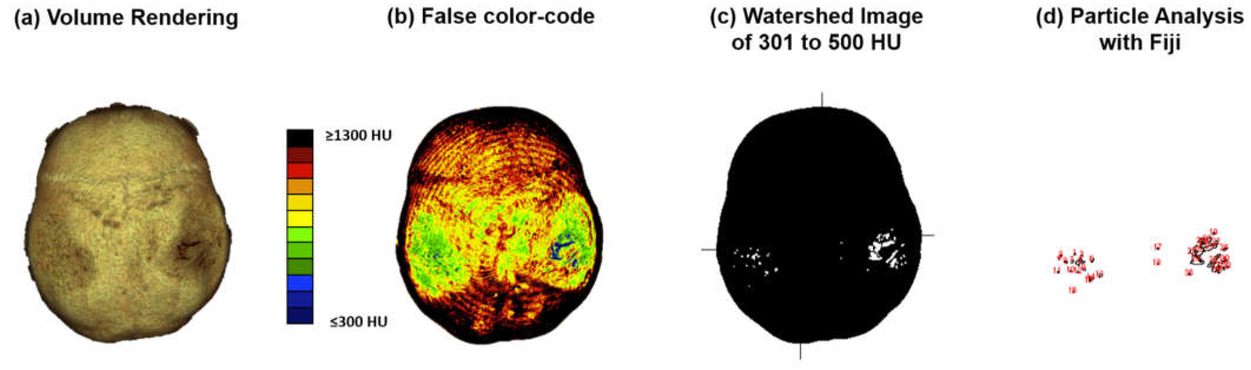 Preprints 71555 g002