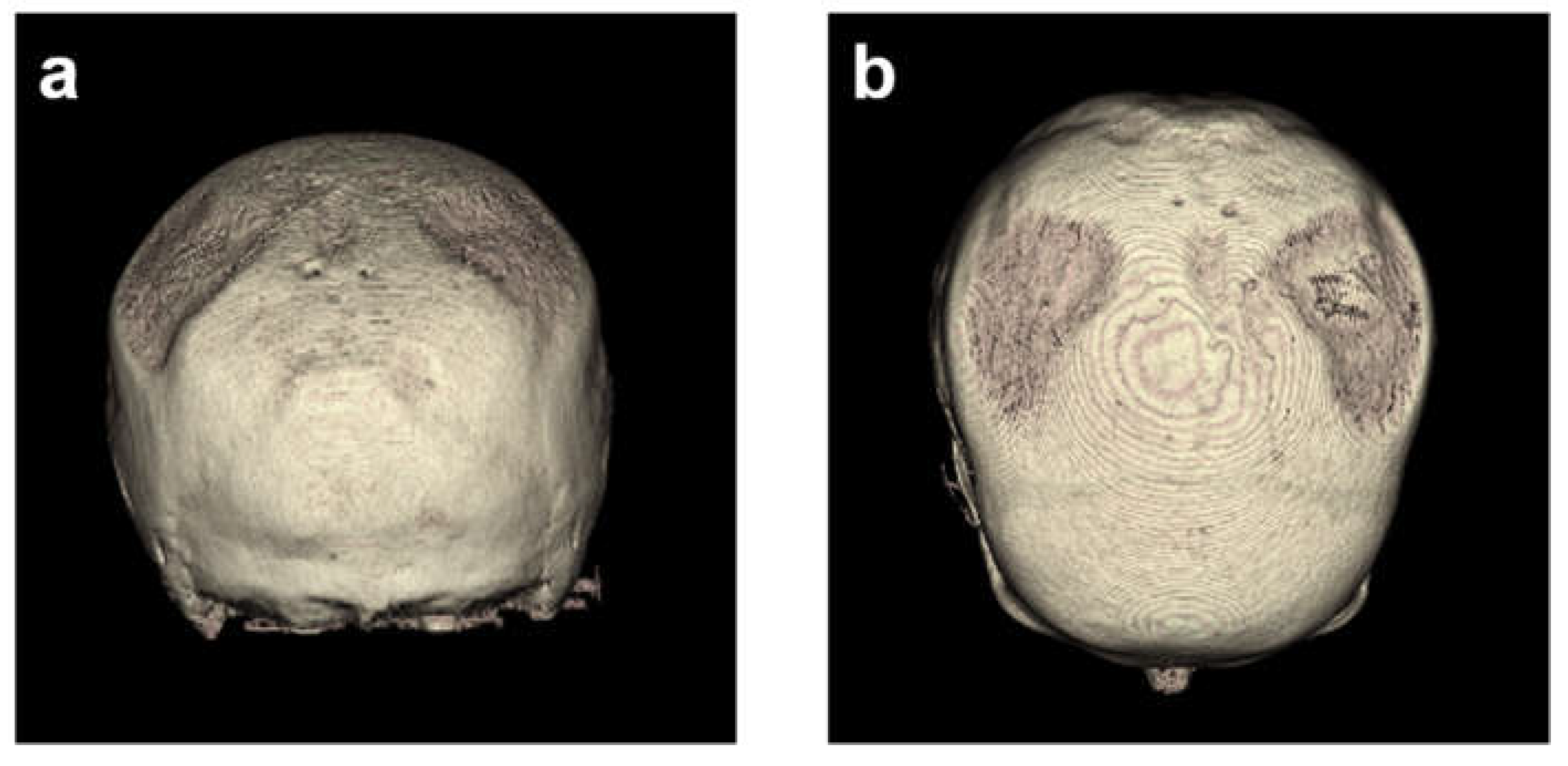 Preprints 71555 g004