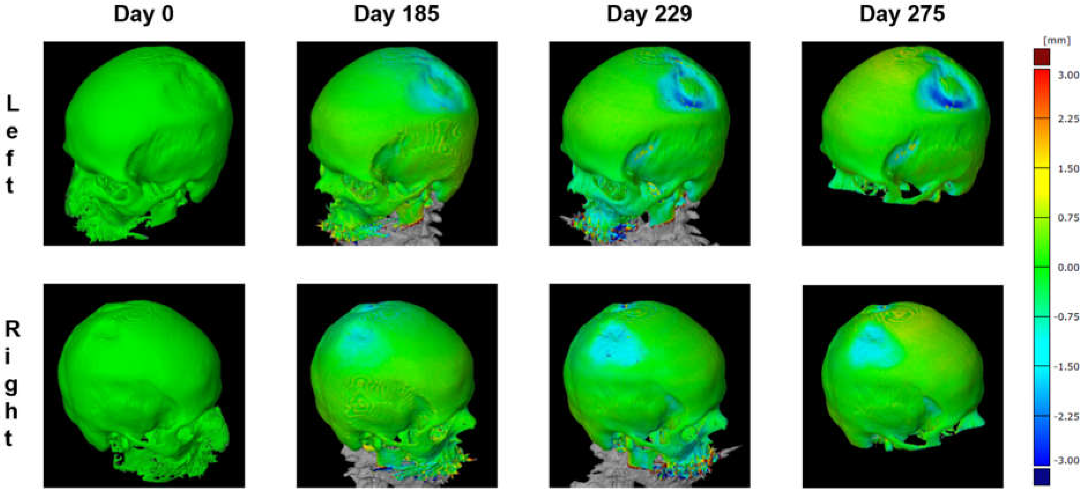 Preprints 71555 g008