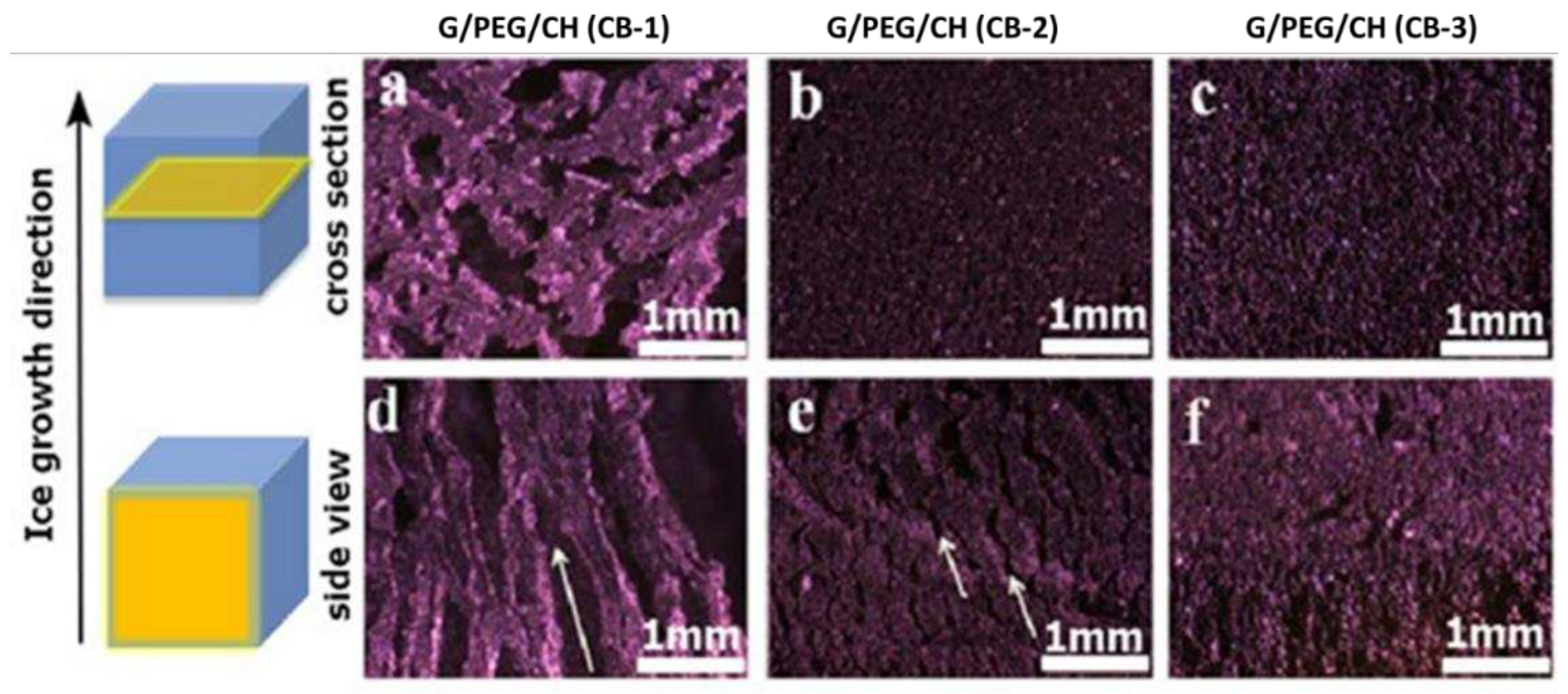 Preprints 83081 g006