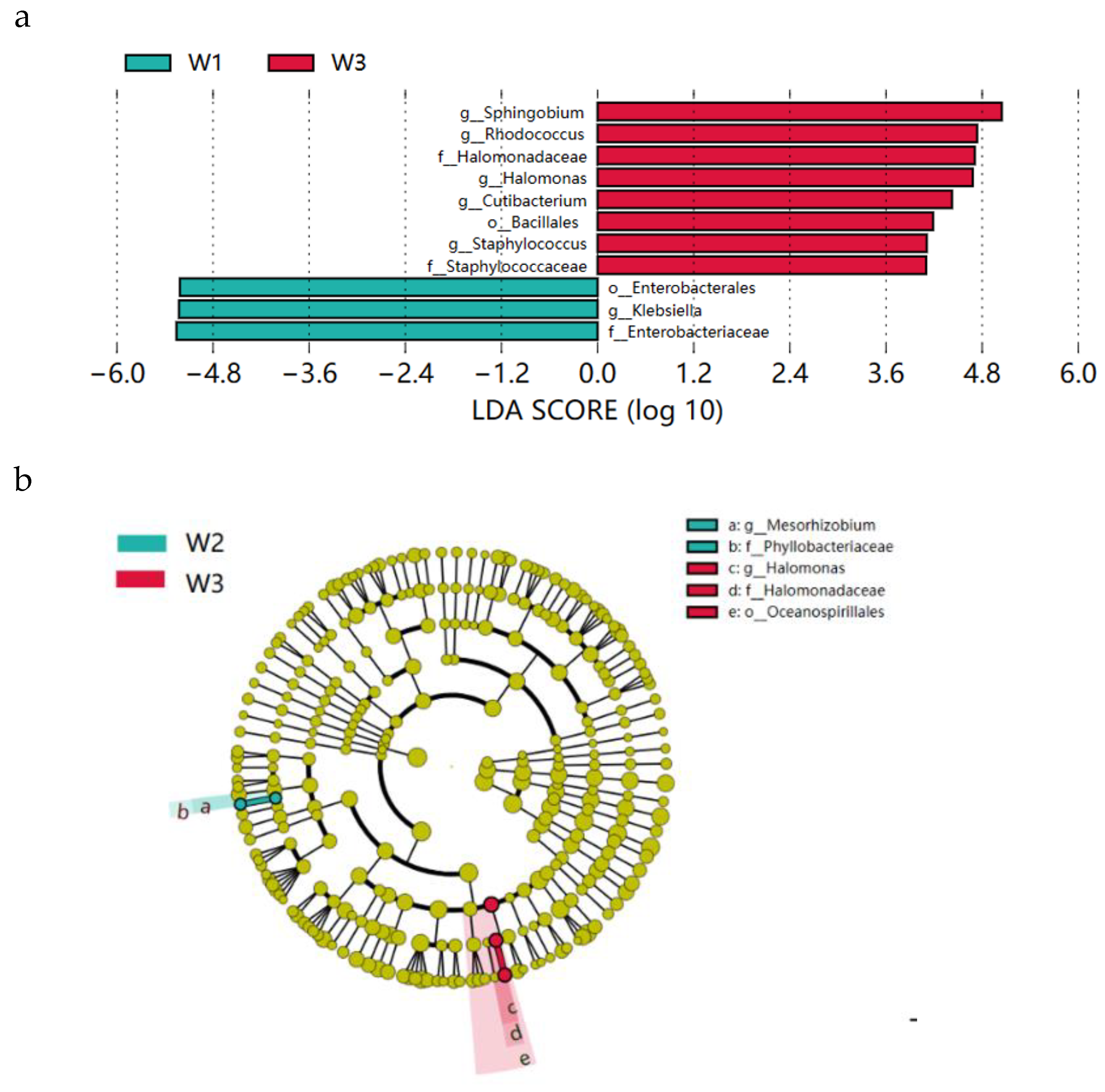 Preprints 106689 g005a