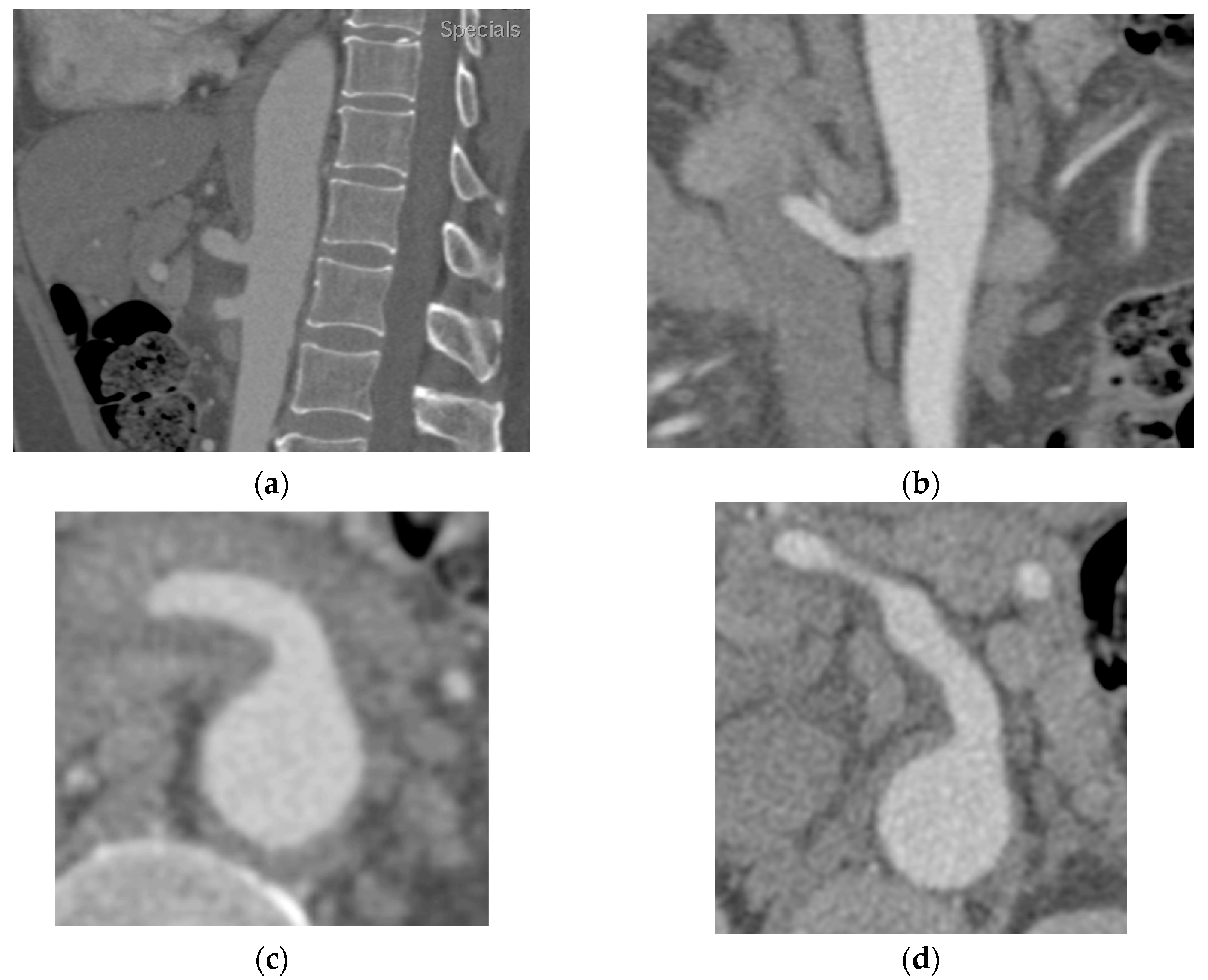 Preprints 89684 g001