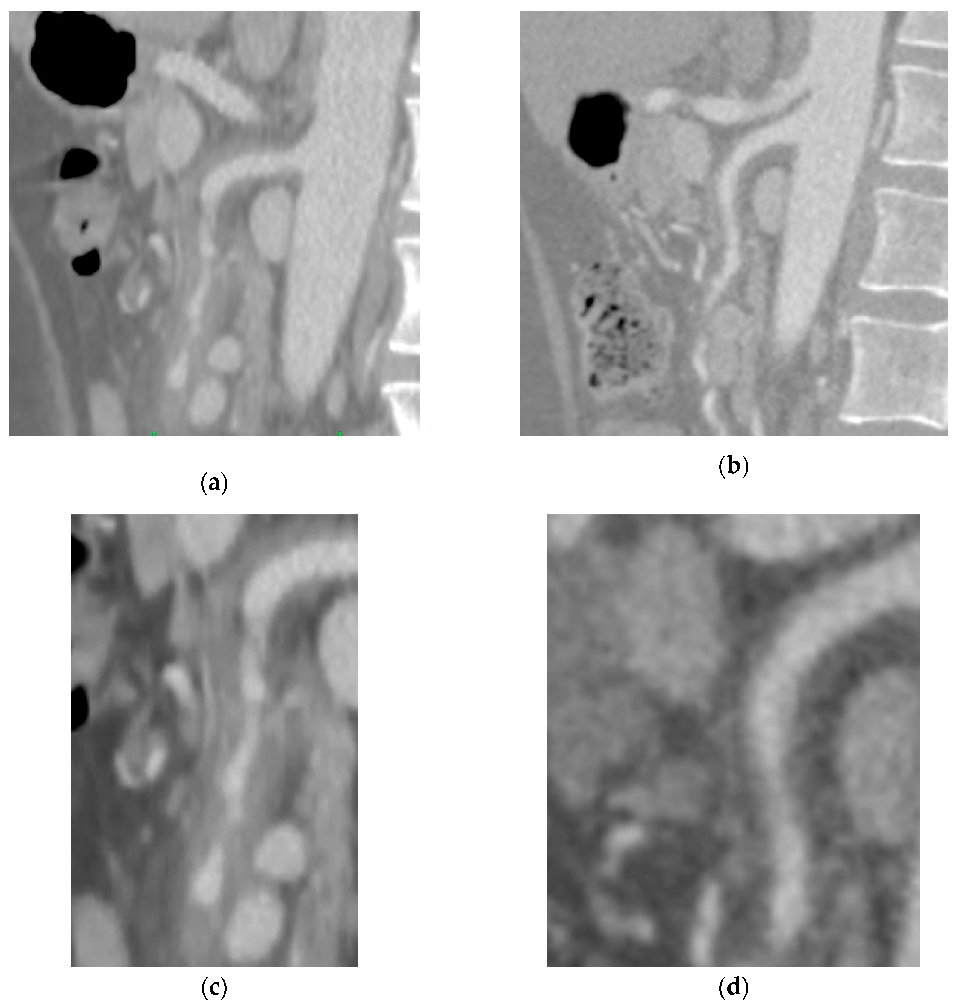 Preprints 89684 g002