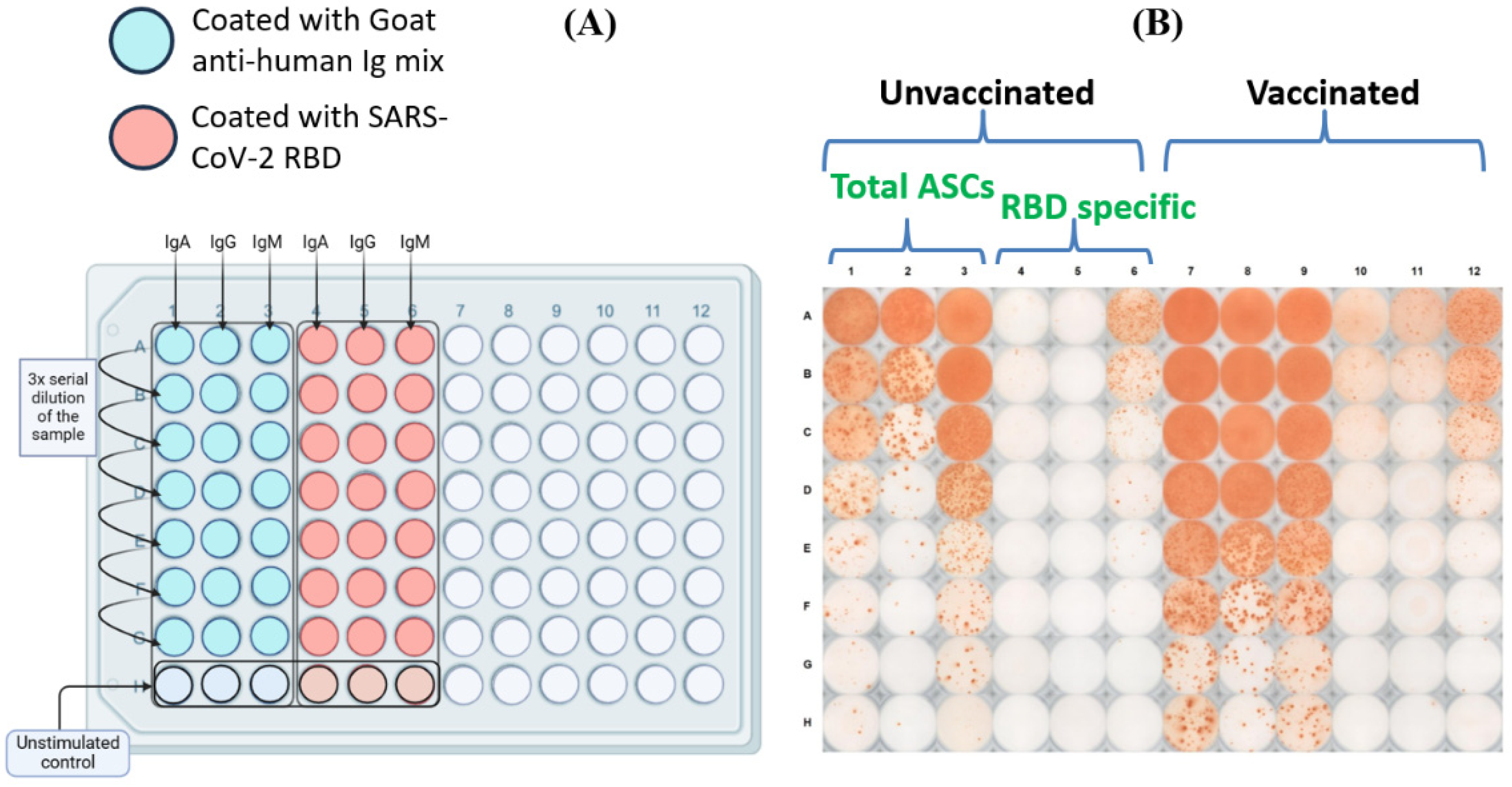 Preprints 114174 g003