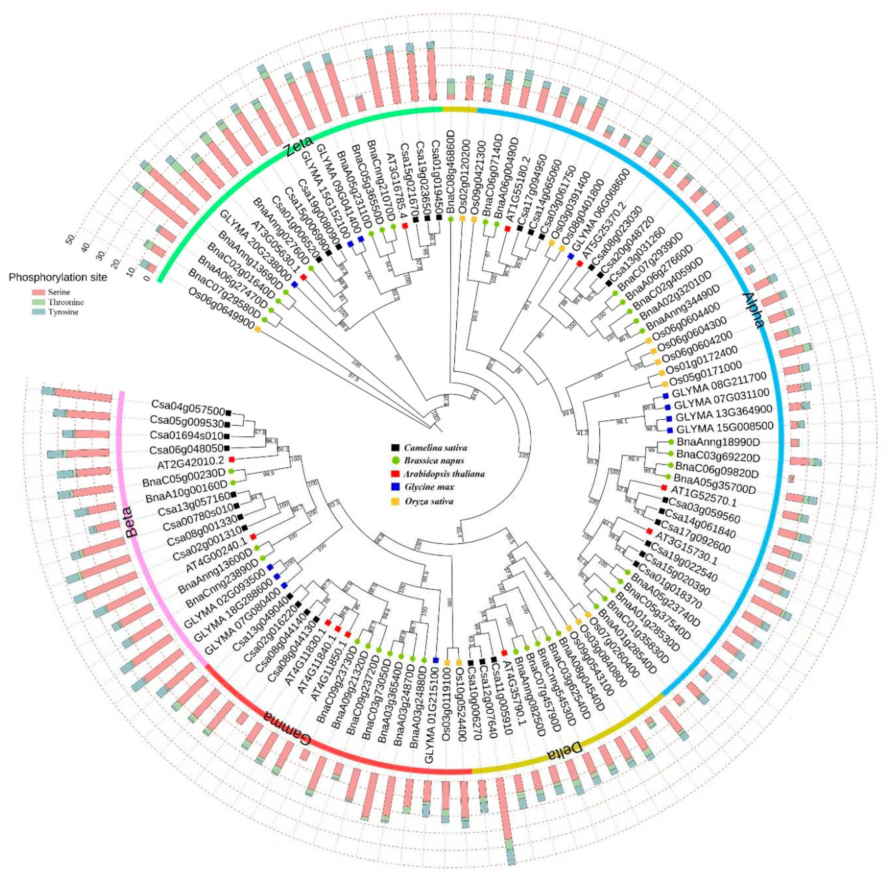 Preprints 84872 g001