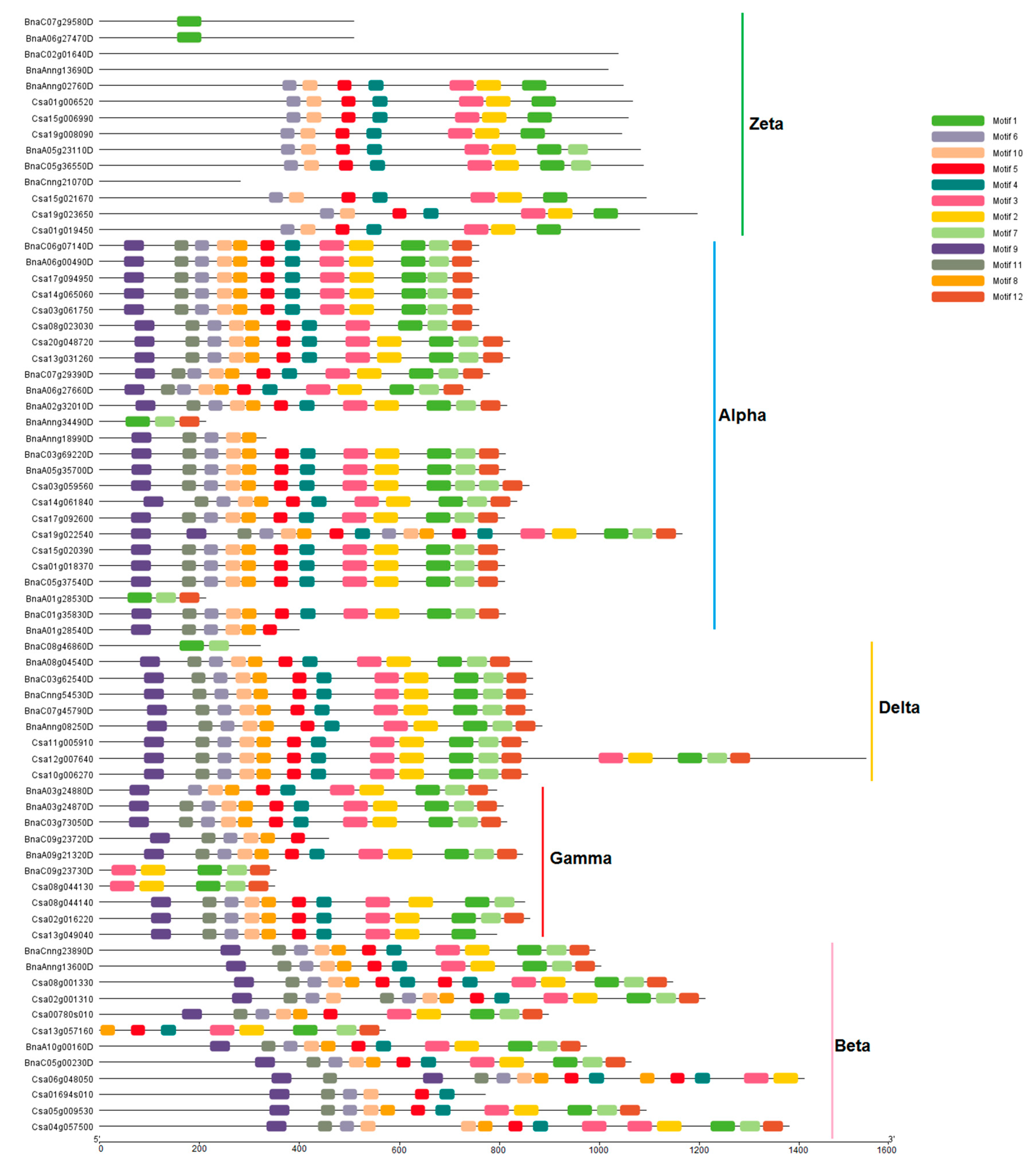 Preprints 84872 g002