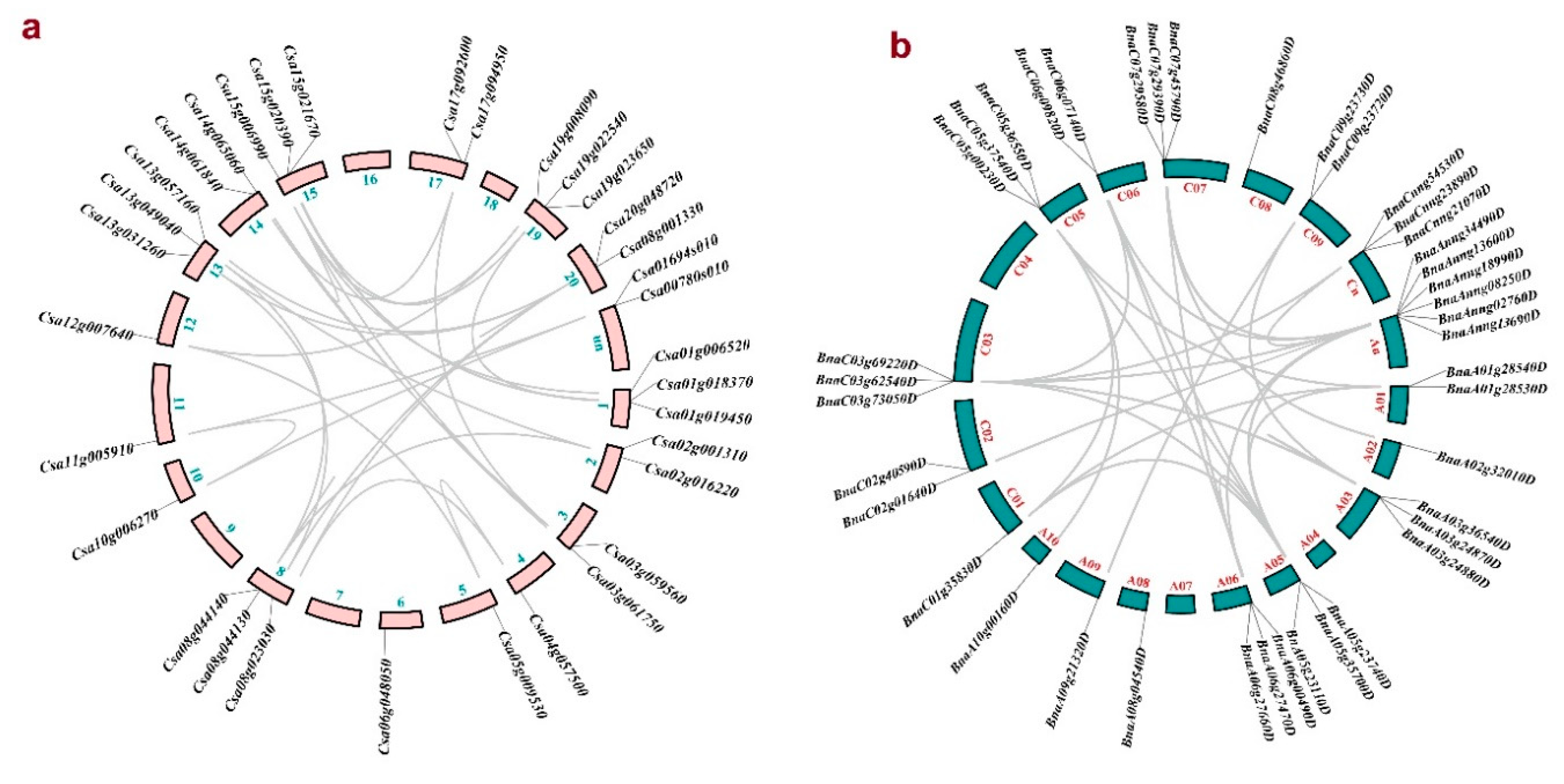 Preprints 84872 g003