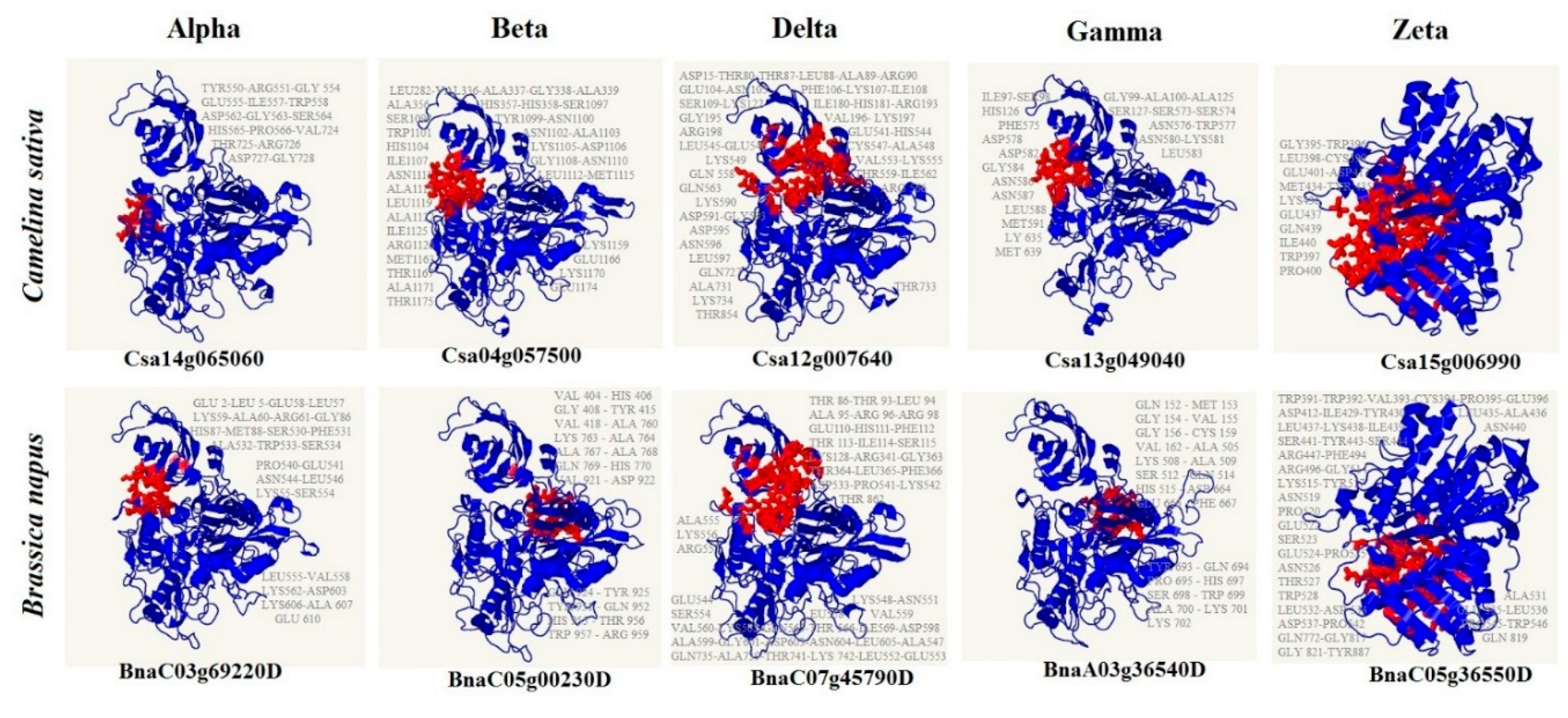 Preprints 84872 g006