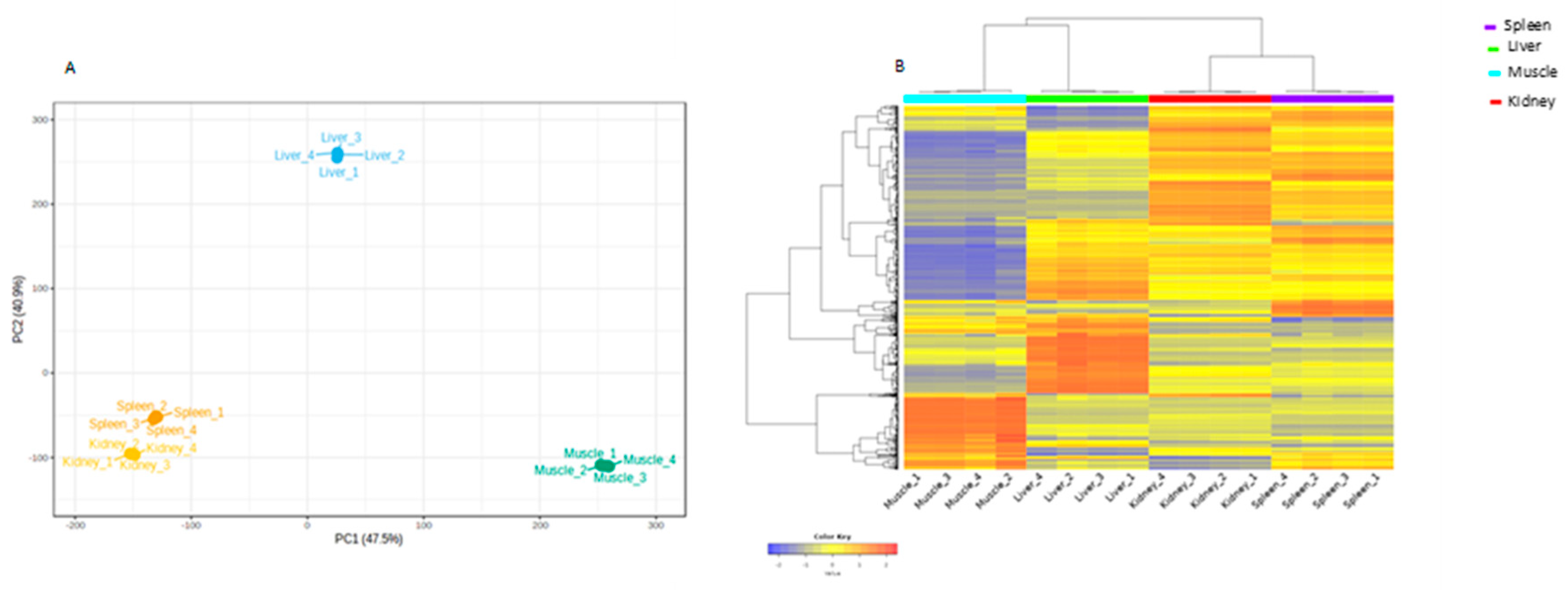 Preprints 114120 g002