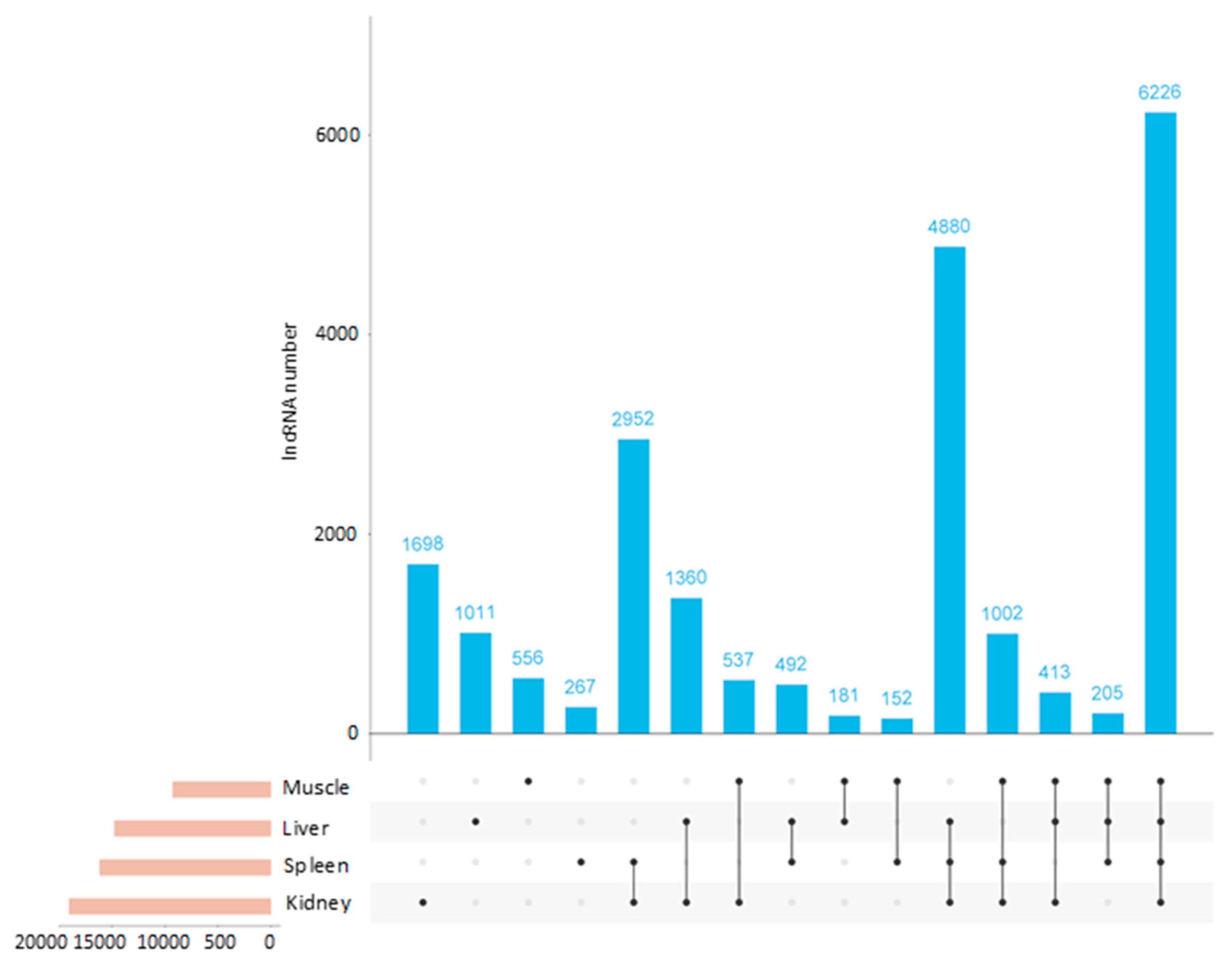 Preprints 114120 g003