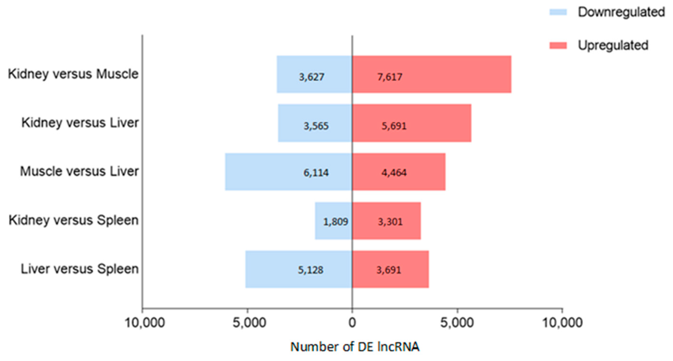 Preprints 114120 g004