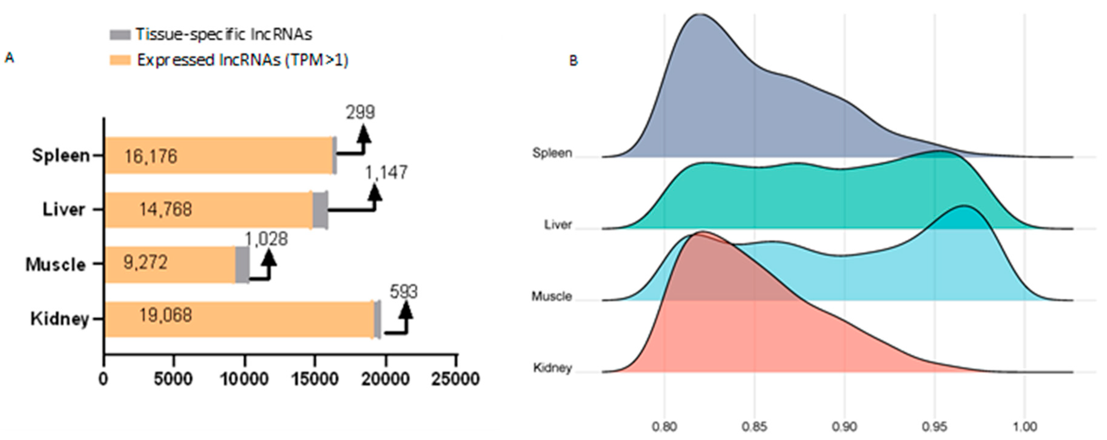 Preprints 114120 g006