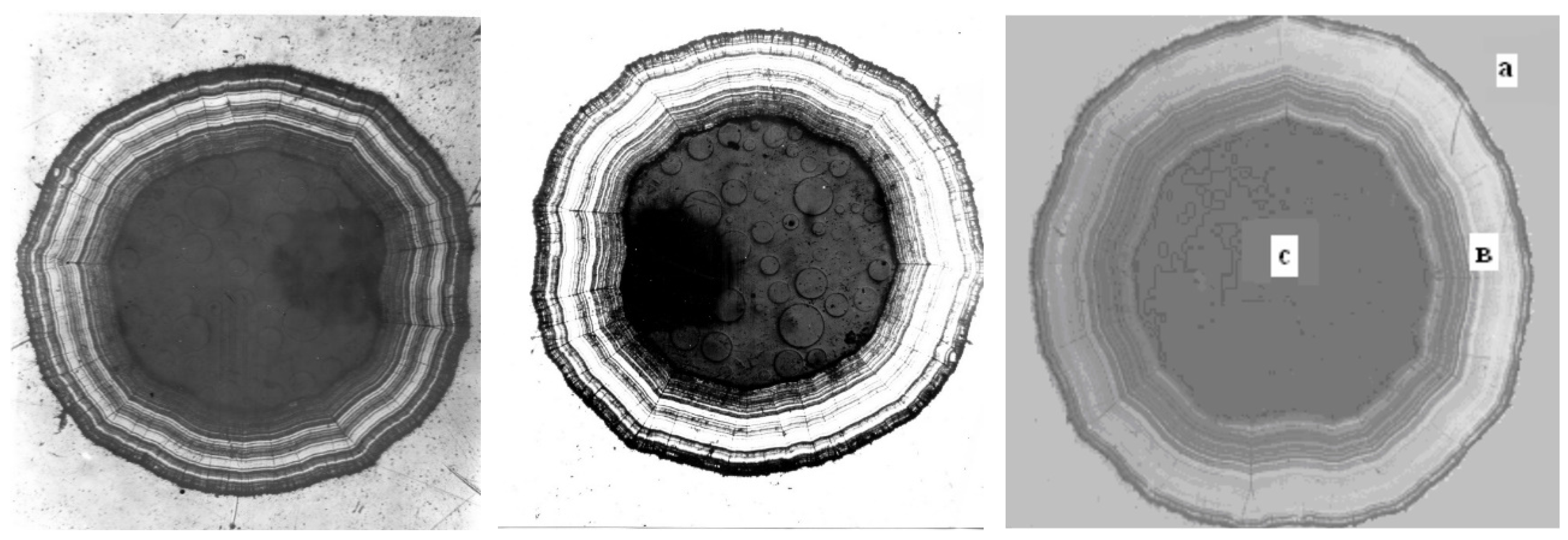 Preprints 104349 g005